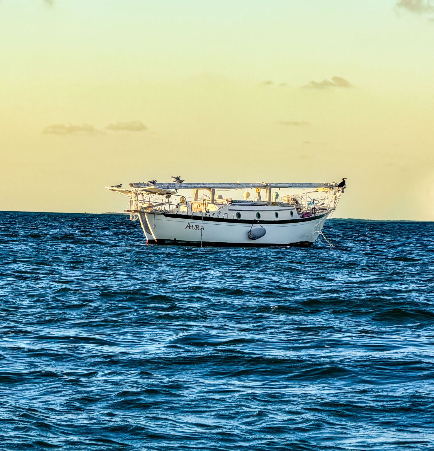 White sailboat named Aula anchored on calm blue ocean waters at golden sunset hour with seabirds perched on deck.