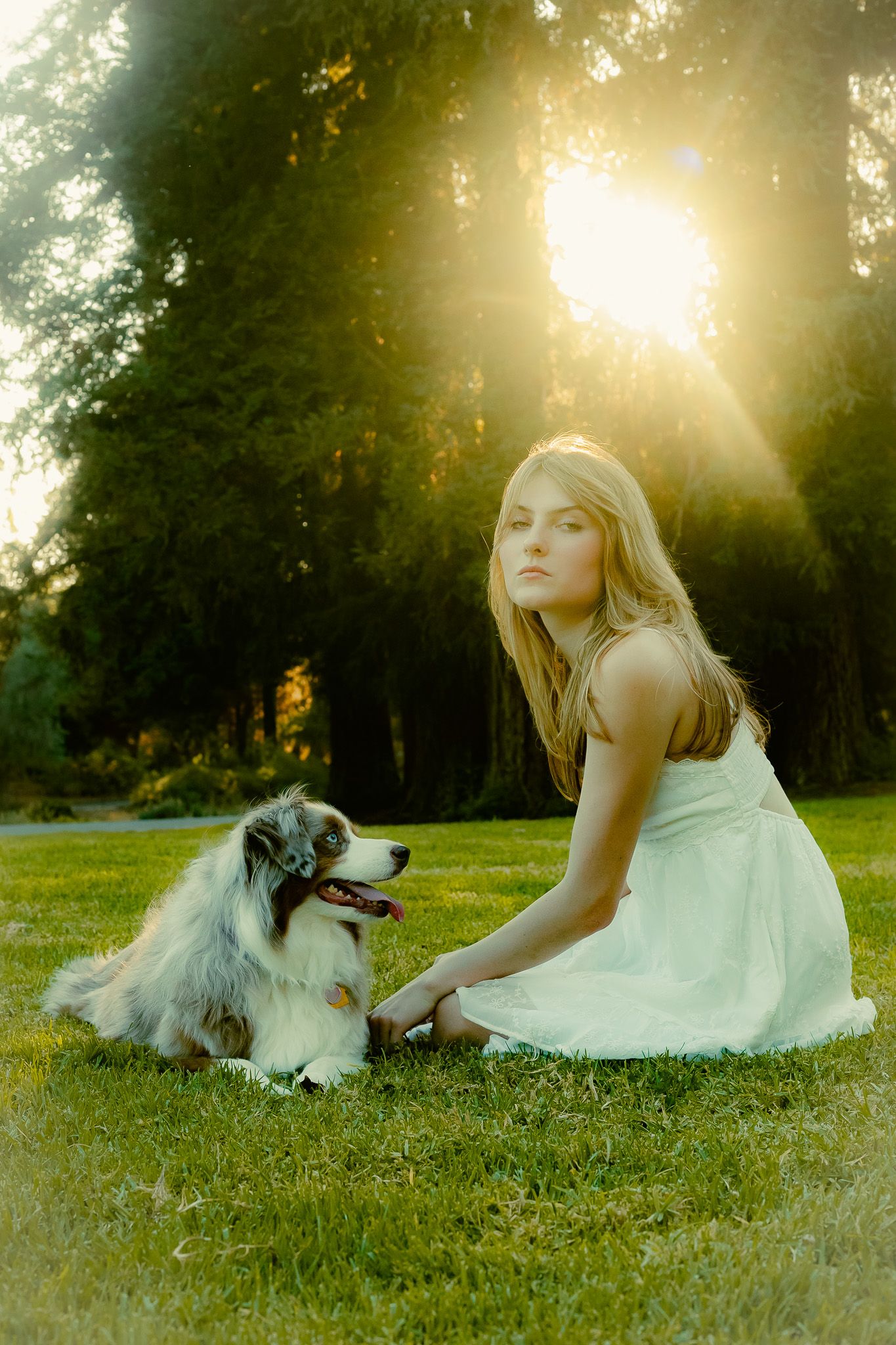 A person in a white dress lies in green grass next to a Border Collie dog during golden hour sunset.