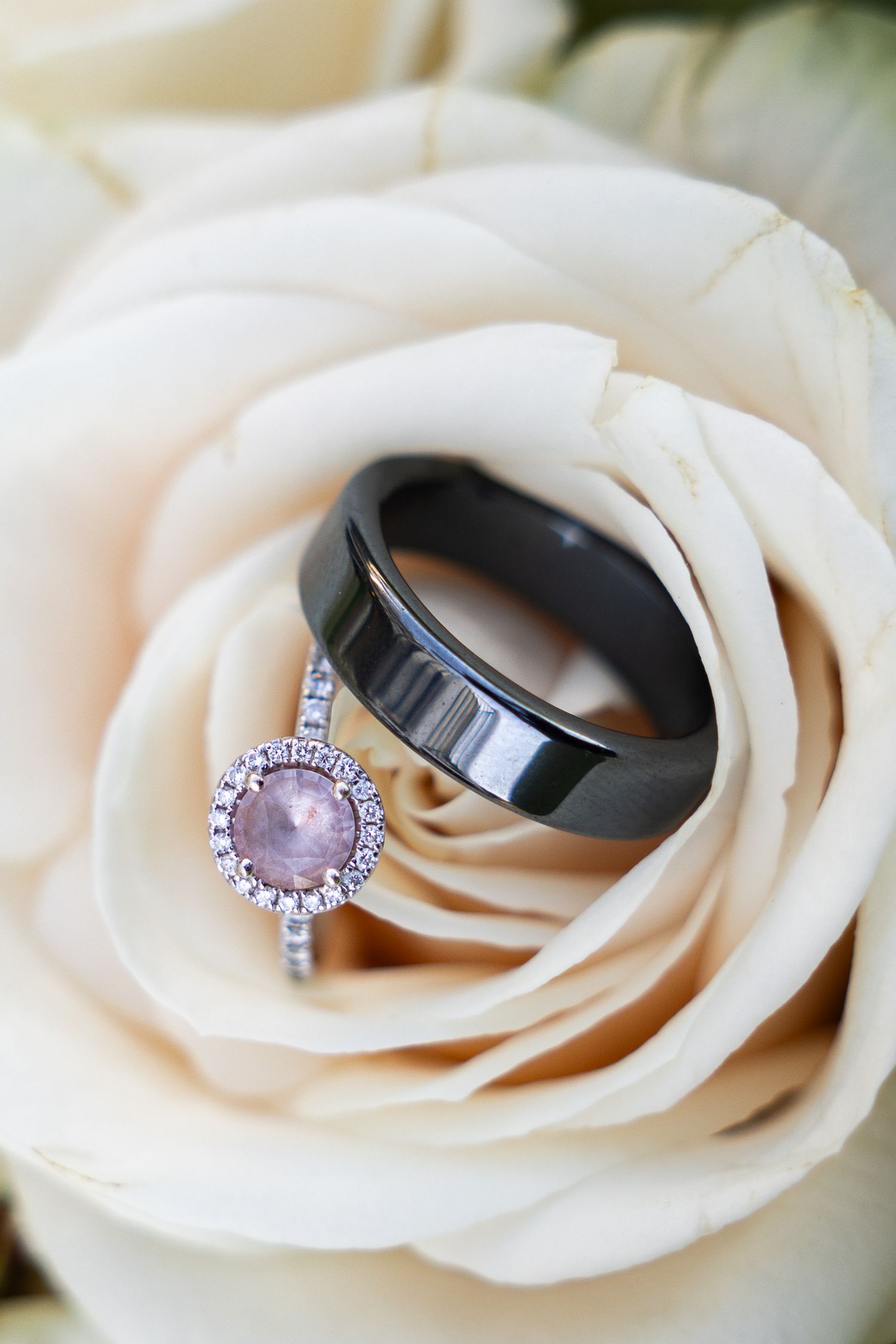 Elegant engagement ring with pink gemstone halo design beside a black wedding band nestled in a cream rose.