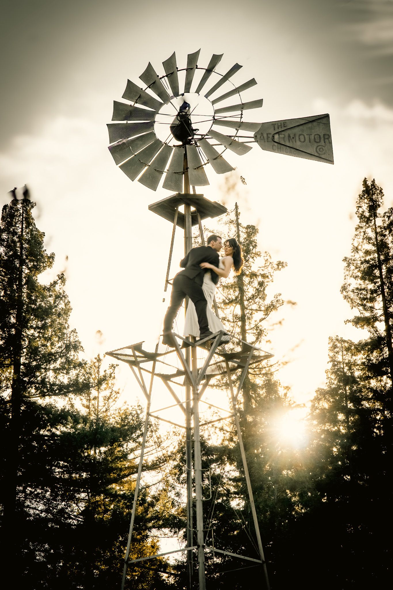 Silhouette of windmills against sunset with trees in background.