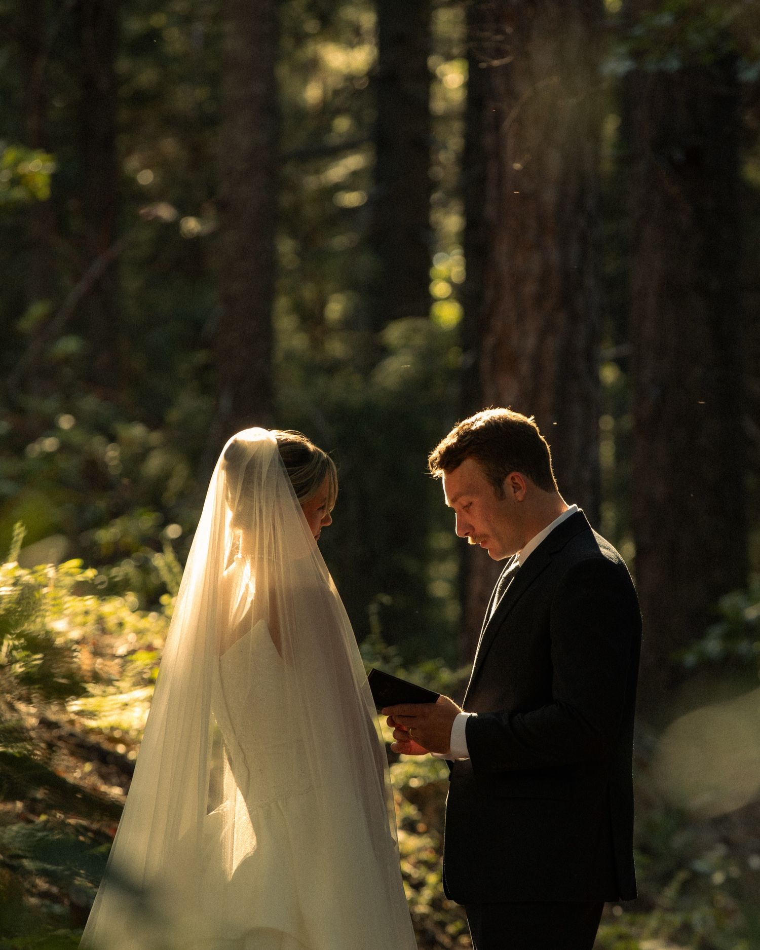 A bride and groom exchange vows in a sunlit forest, she in a white veil, he in a black suit reading from a book.