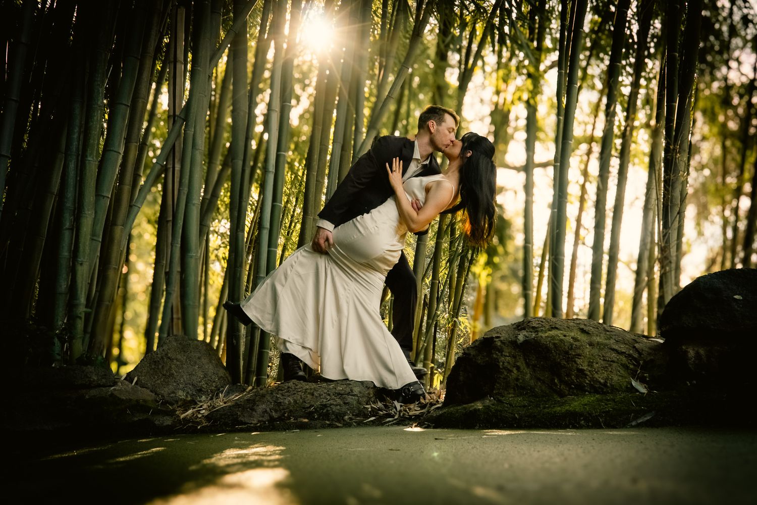 Wedding couple poses dramatically in sunlit forest setting.