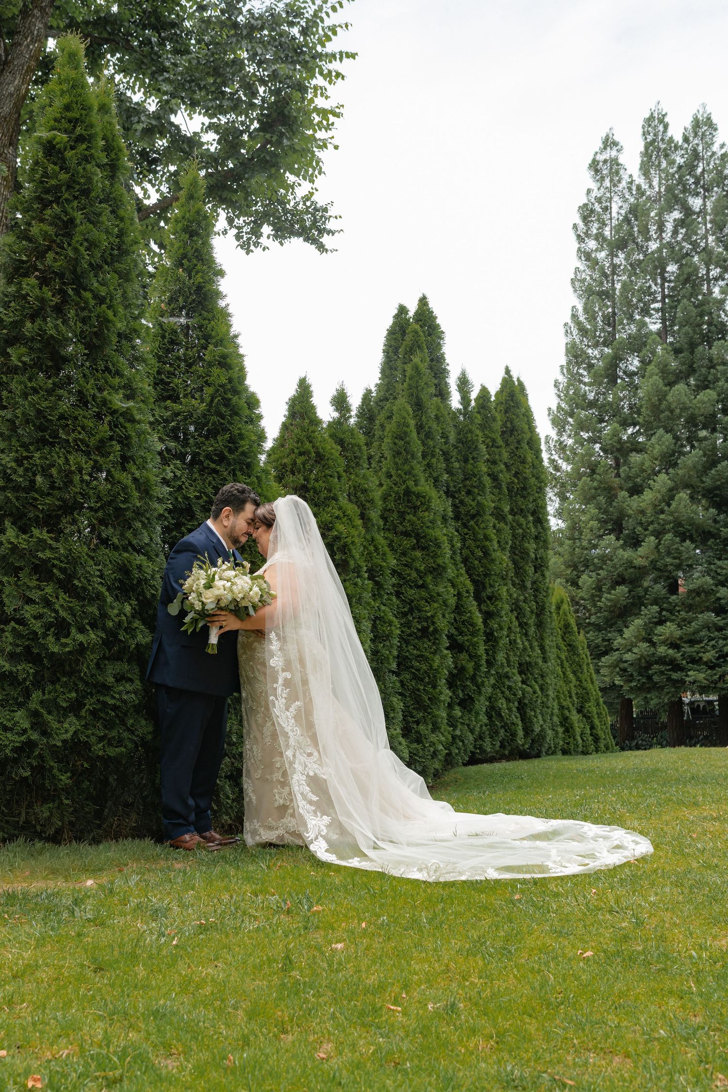 Bride and groom share a romantic kiss on green lawn surrounded by tall evergreen trees, bride wearing lace gown with long veil.