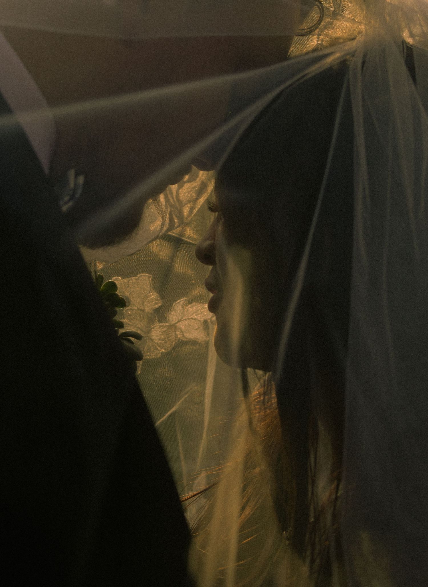 A bride in a lace gown and veil shares an intimate moment, bathed in warm golden light.