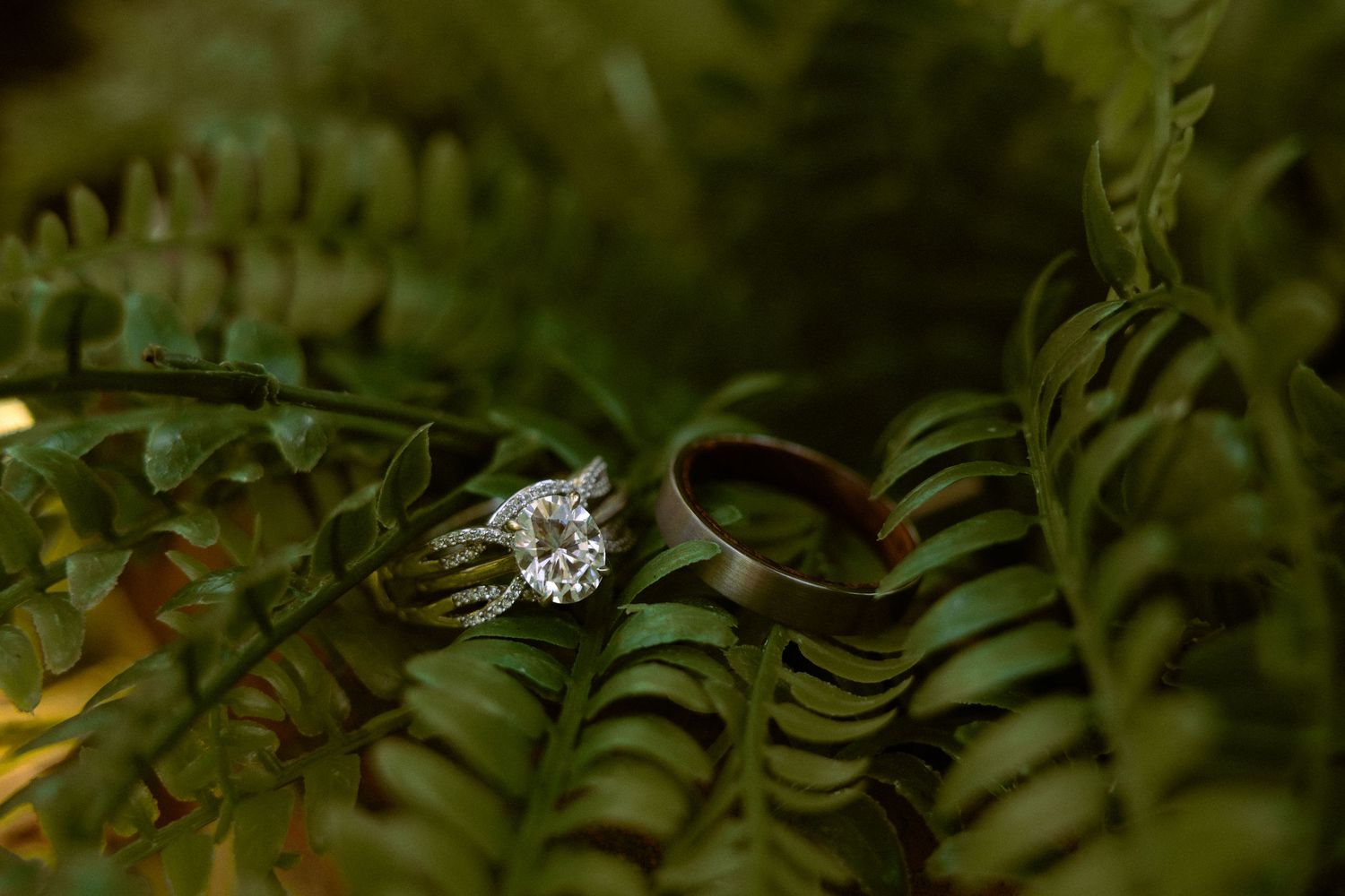 Diamond engagement ring and wedding band nestled among lush green fern leaves in an elegant nature-inspired jewelry display.