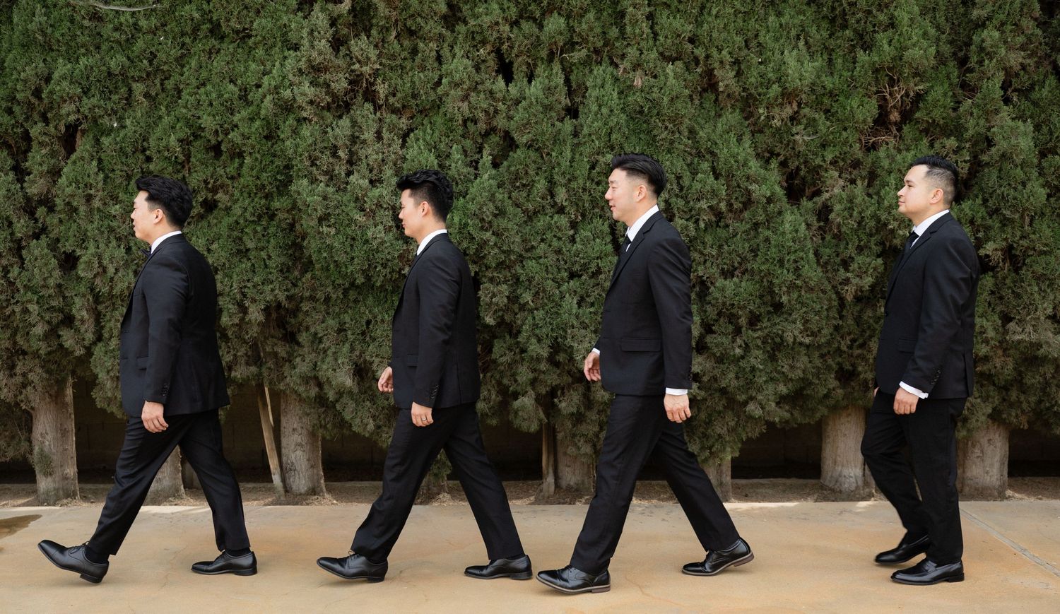 Four groomsmen in black suits walk in a line past tall green hedges outdoors.