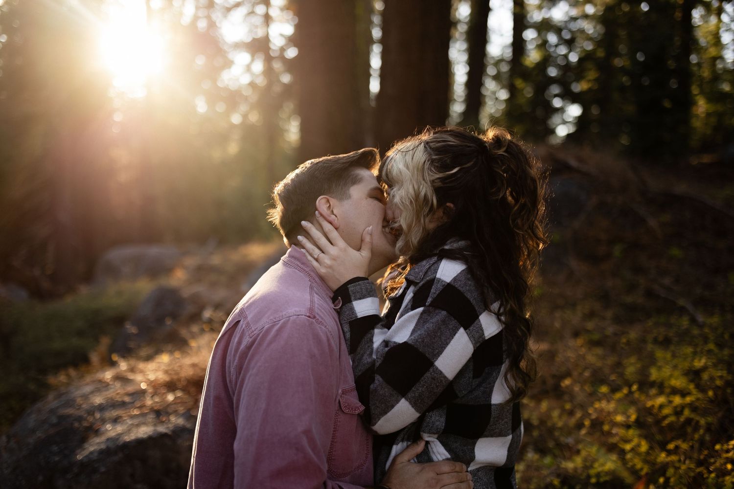 Silhouetted figures embrace against warm forest sunlight filtering through evergreen trees.