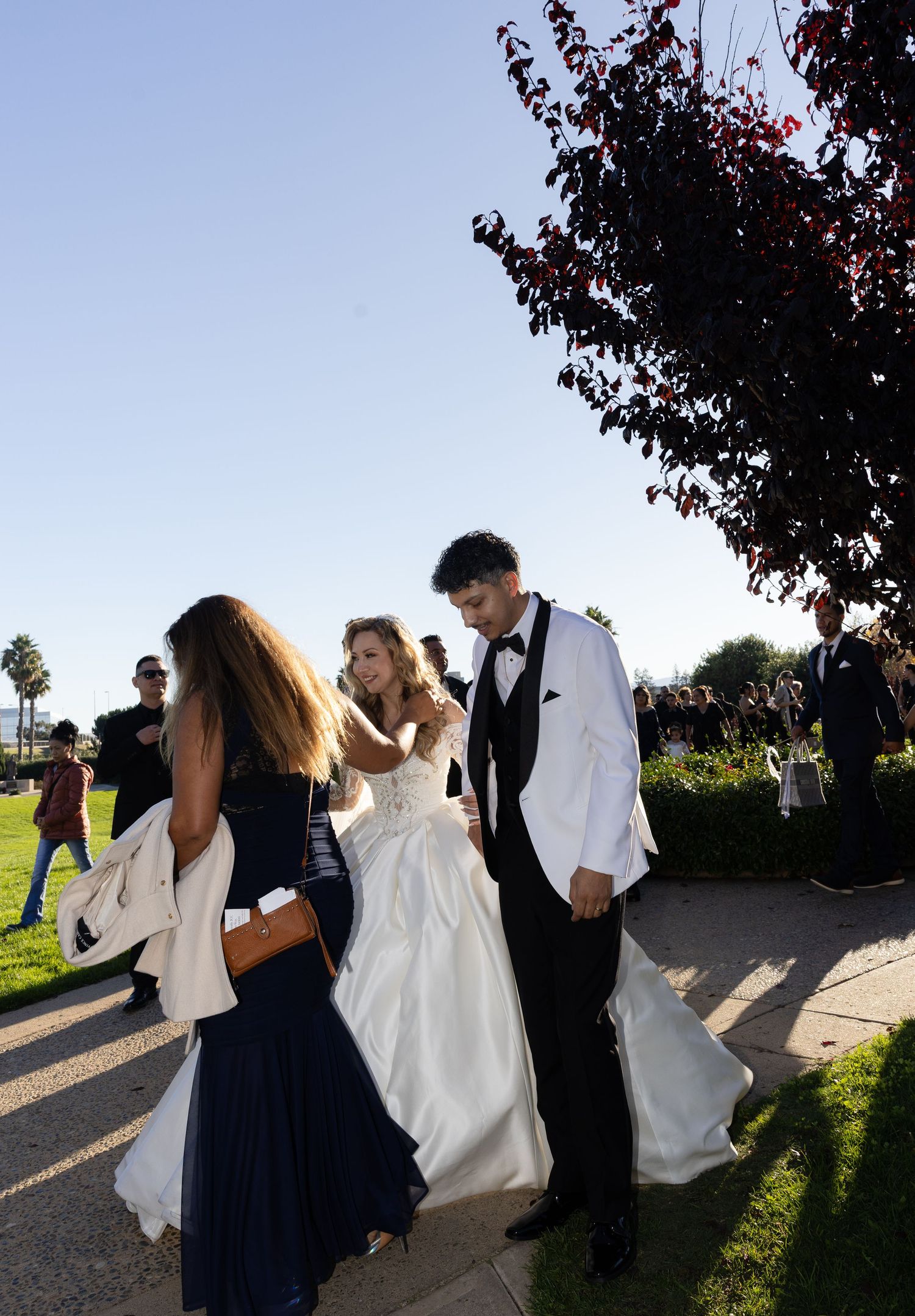 Wedding party walks along a scenic path during golden hour celebrations.