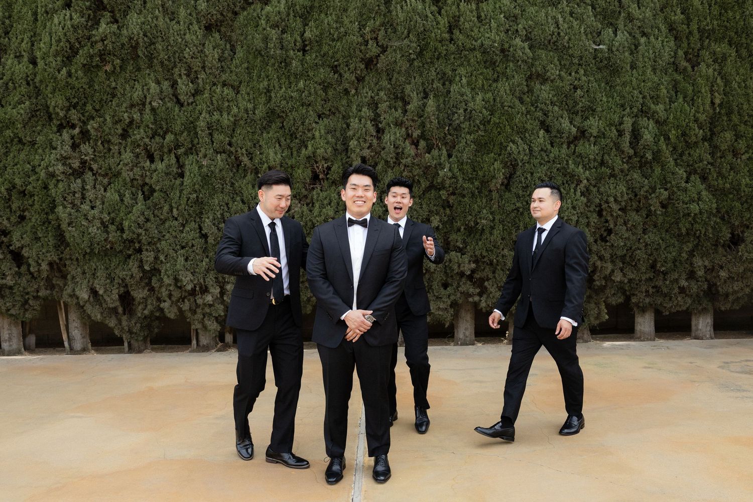 Four groomsmen in black tuxedos posing outdoors in front of tall green hedges at a wedding.