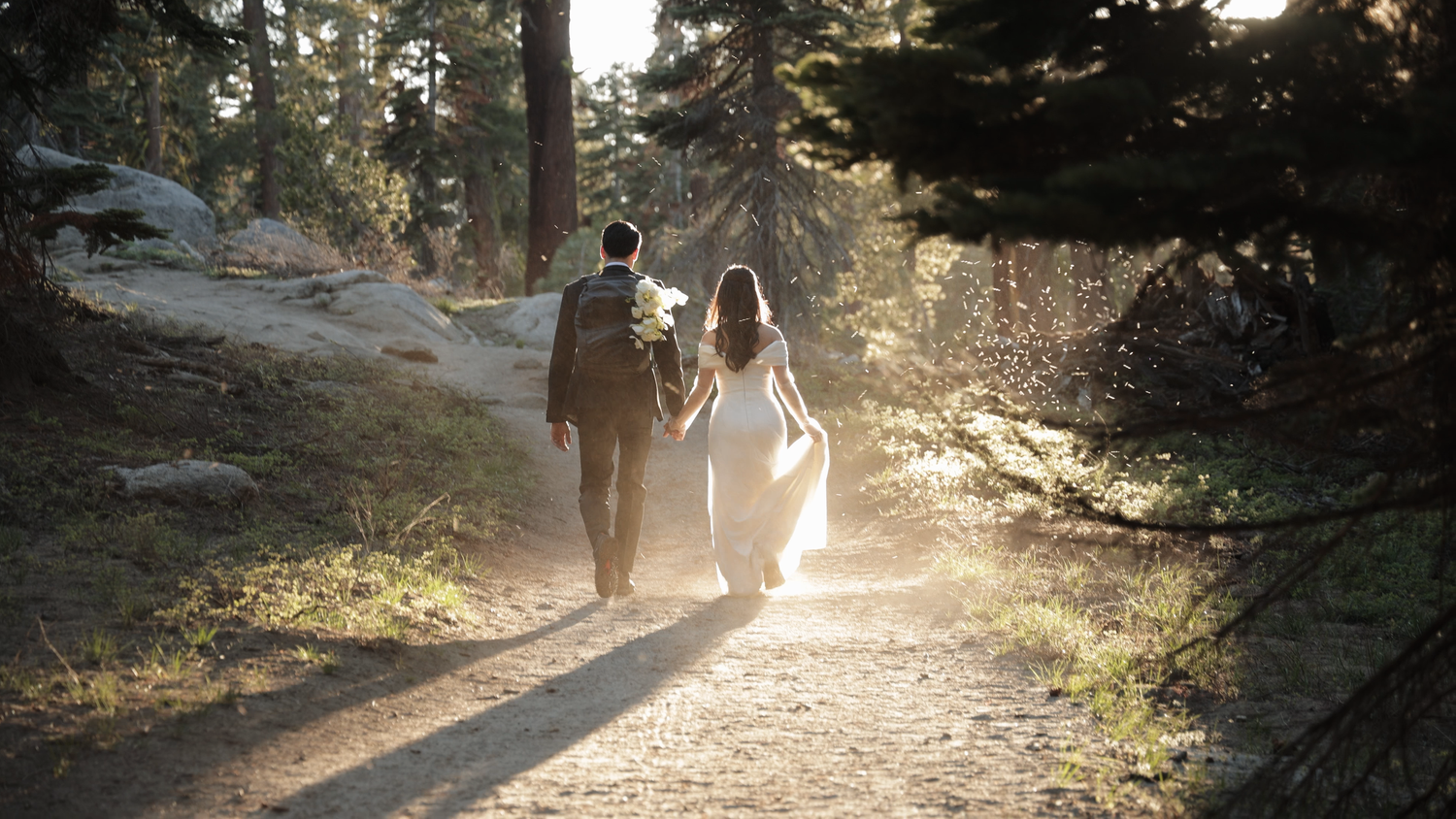 A couple in wedding attire walks hand-in-hand down a sunlit forest path surrounded by tall pine trees.