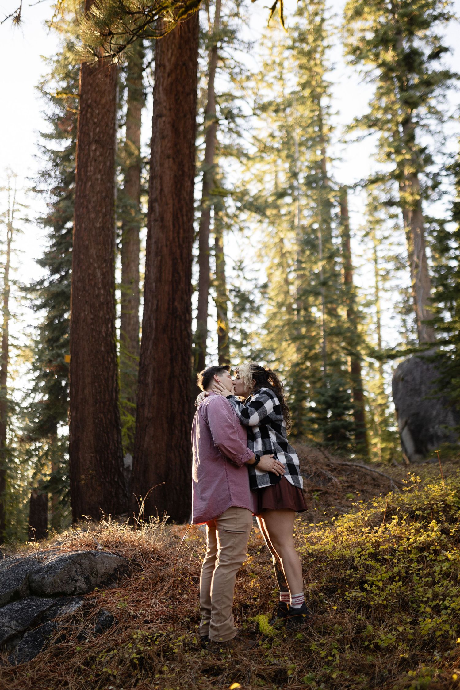A couple shares a tender moment among tall evergreen trees in a sunlit forest setting.