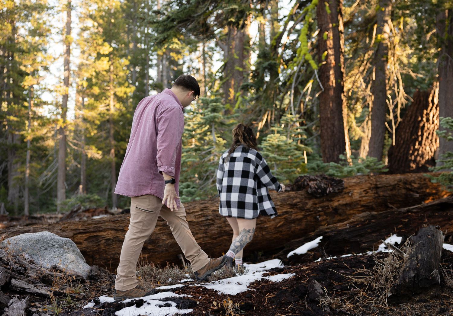 People walking along a fallen log in a winter forest bathed in warm sunset light.