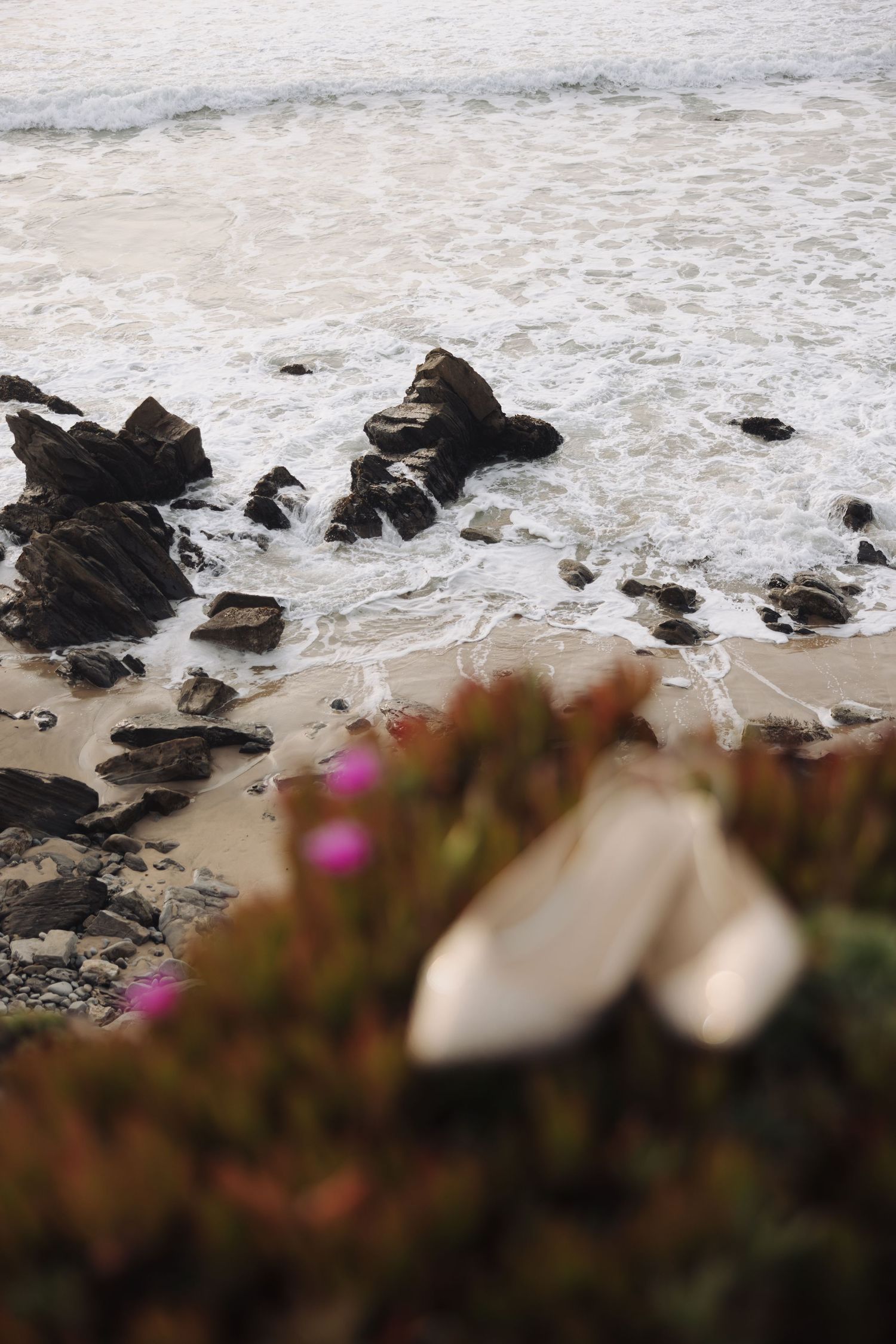 Rocky coastline with waves crashing against dark stones and pink flowers in the foreground.