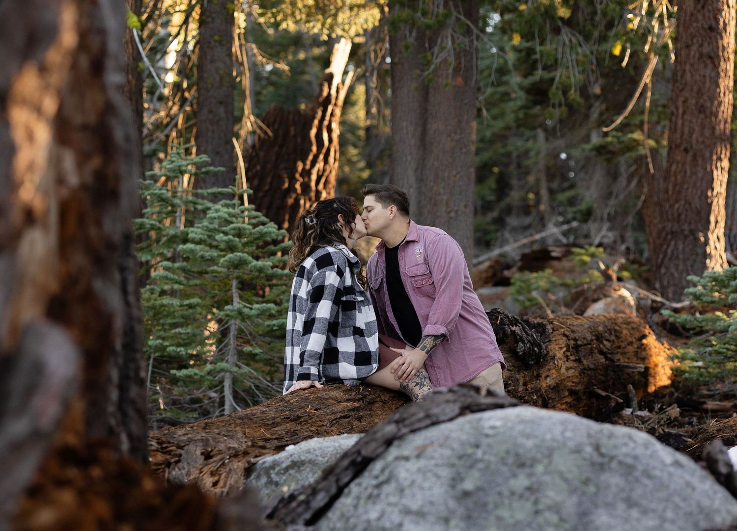 Outdoor portrait session on large boulder in pine forest setting.