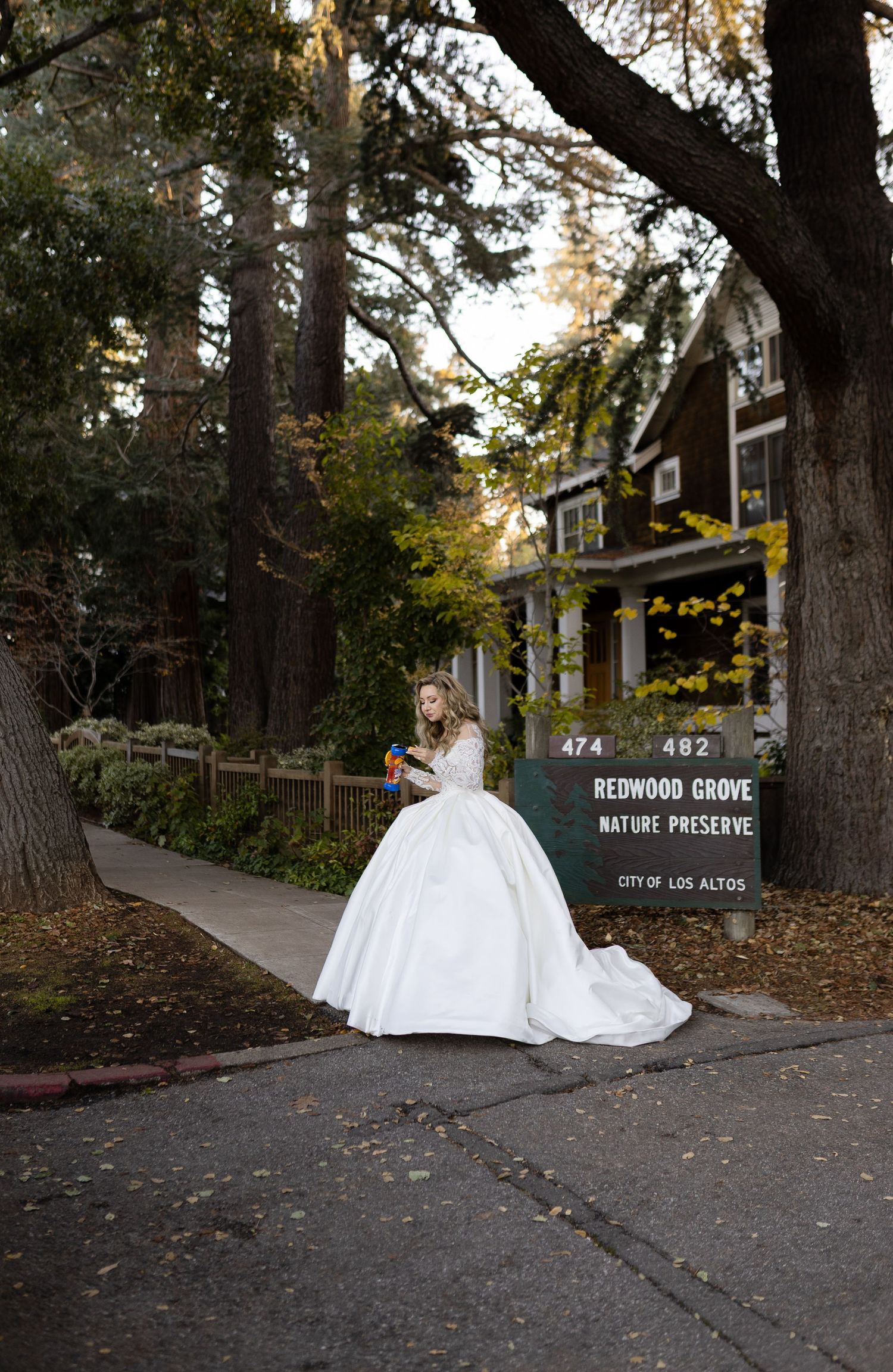 A bridal photo taken at Redwood Grove Nature Preserve featuring a classic white ball gown.