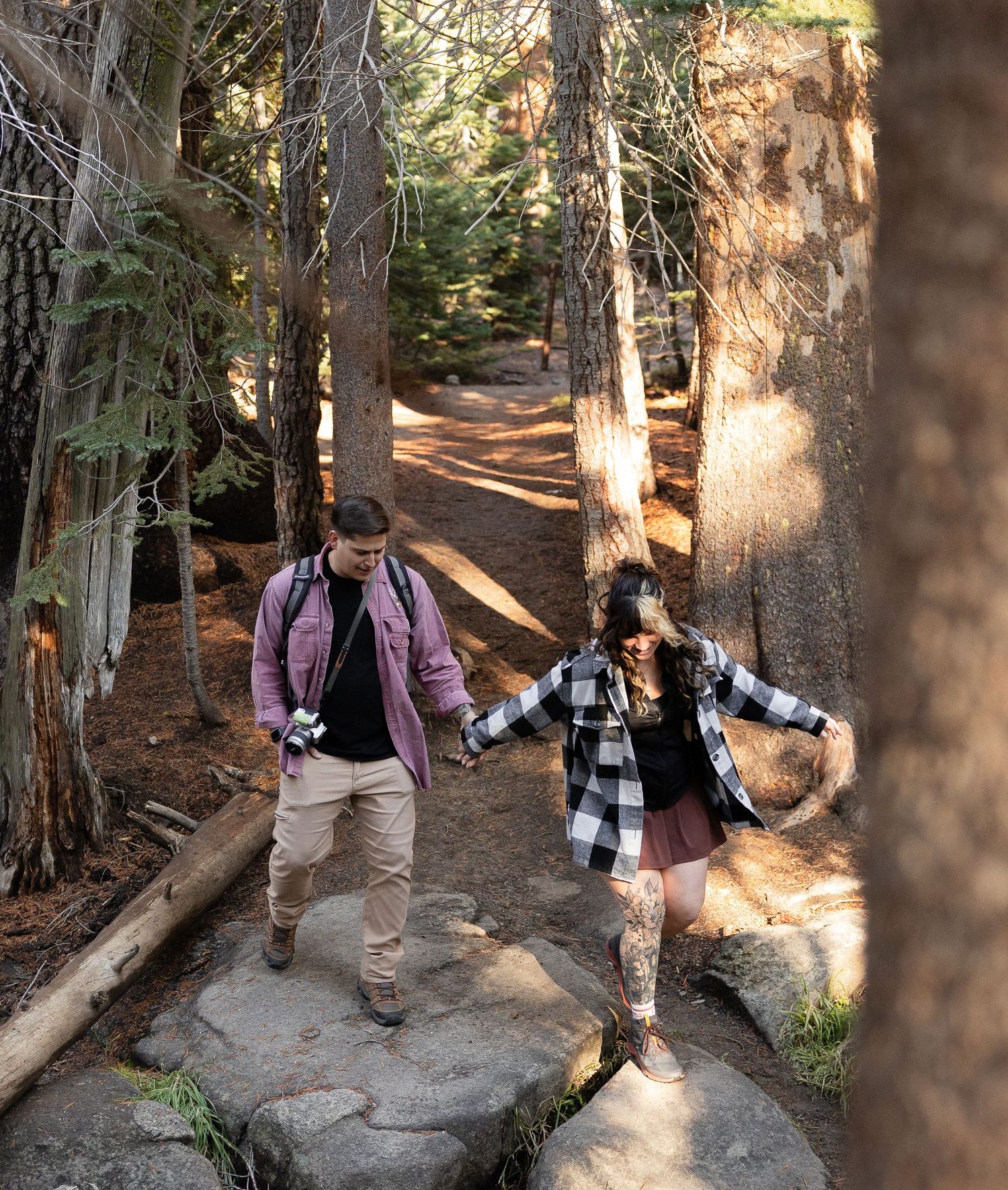 Couple walking hand in hand on forest trail among tall pine trees.