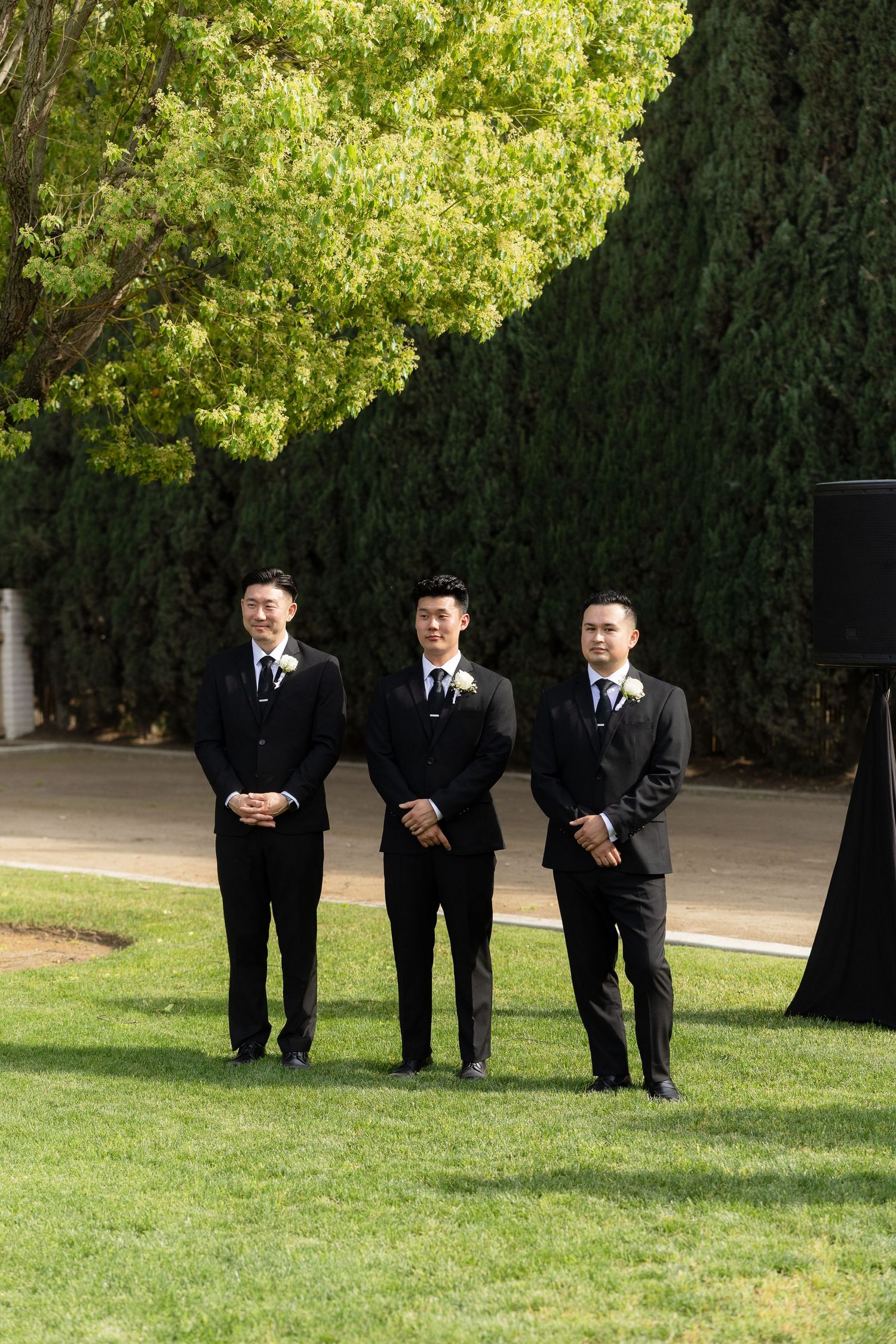 Three groomsmen in black suits stand on green lawn during outdoor wedding ceremony.