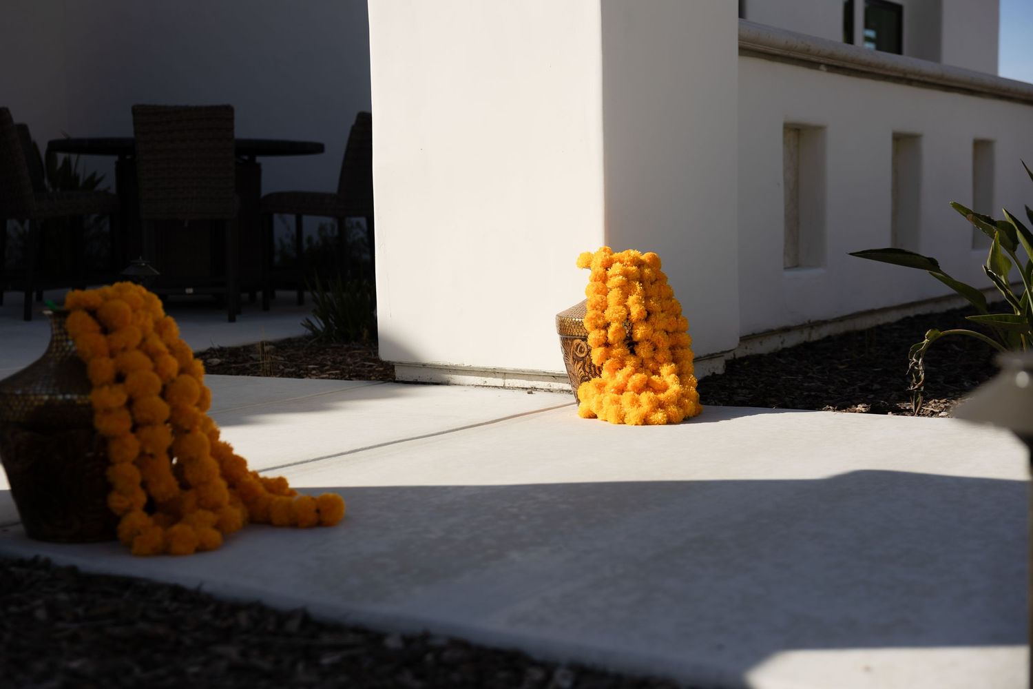 Row of bright orange marigold garlands arranged along a white exterior wall in sunlight.