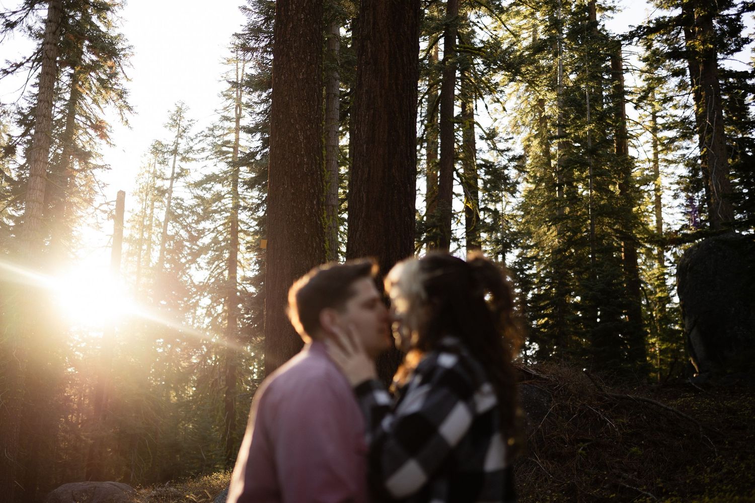 Silhouettes of a couple sharing an intimate moment in a sun-drenched forest.