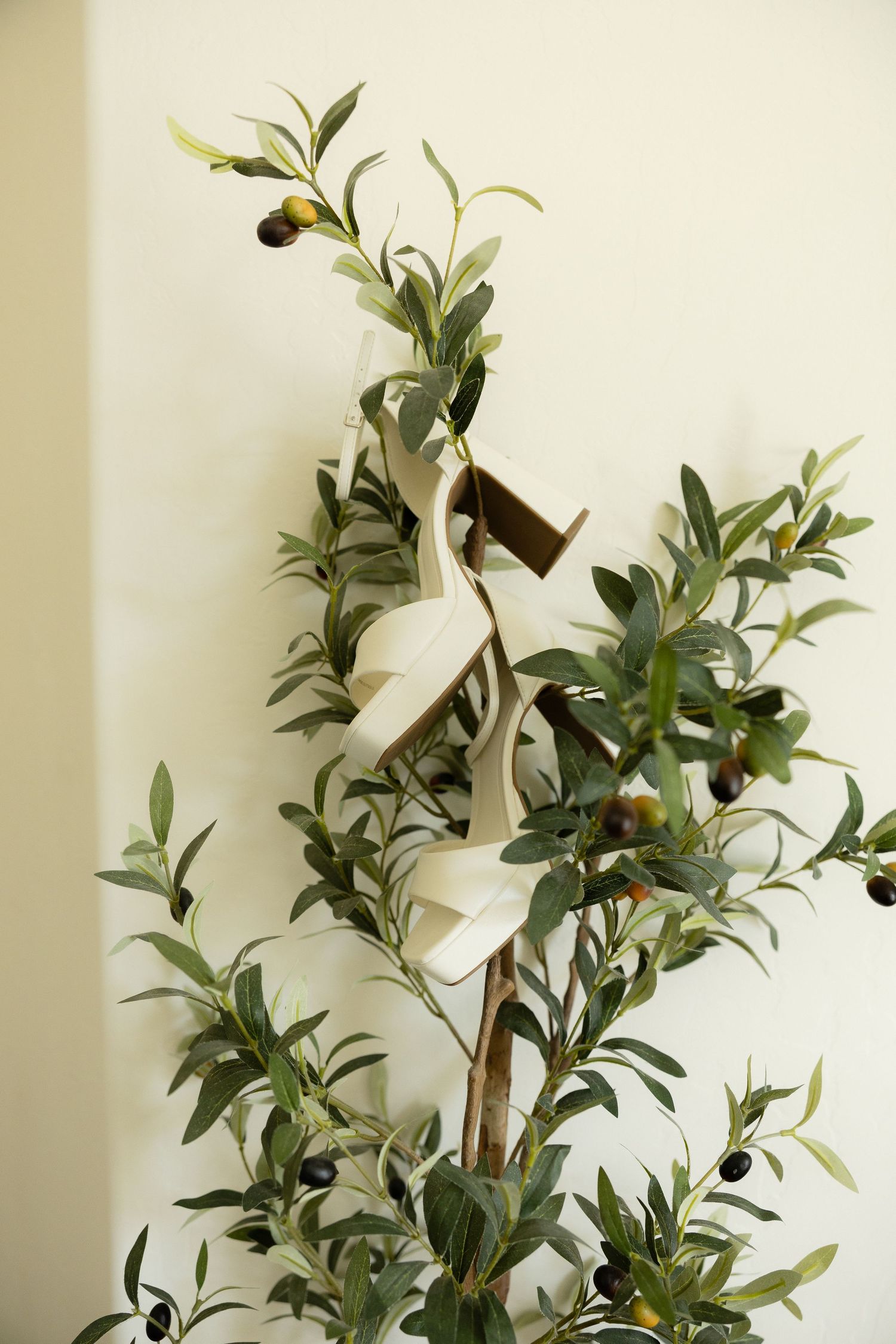 Bridal heels hanging on olive branch with green leaves and dark berries against white wall.