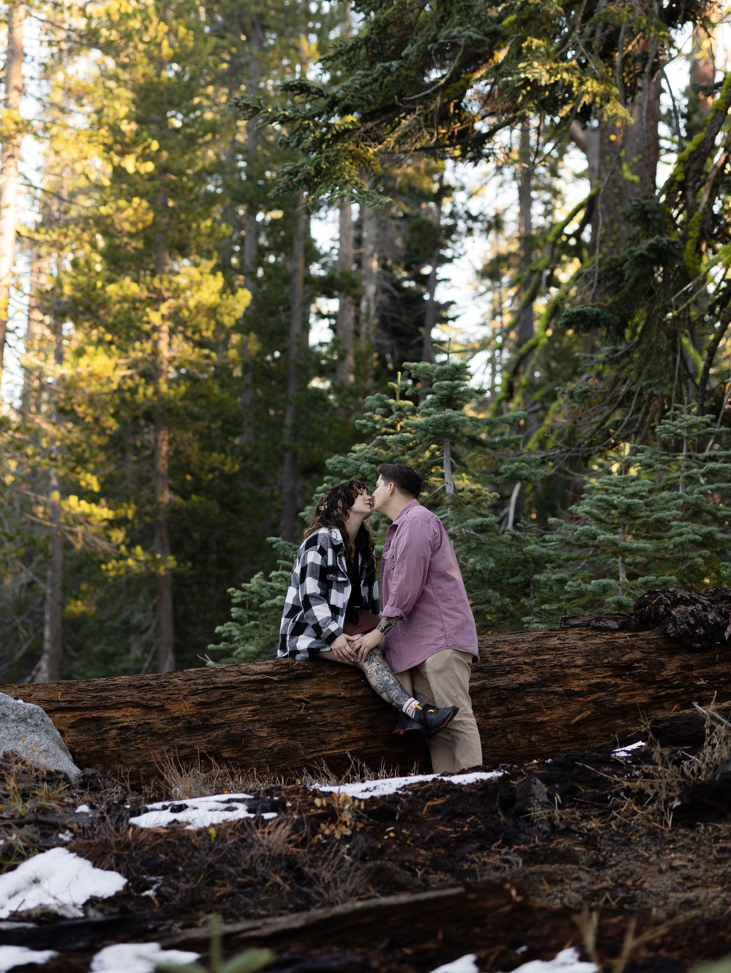 Couple posing on fallen log in forest during outdoor photo session.