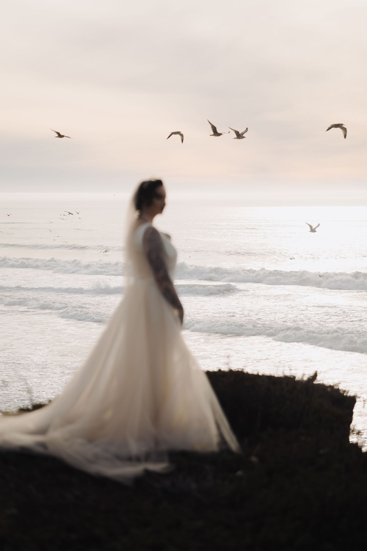 Dreamy silhouette of bride against ocean horizon with seabirds flying overhead.