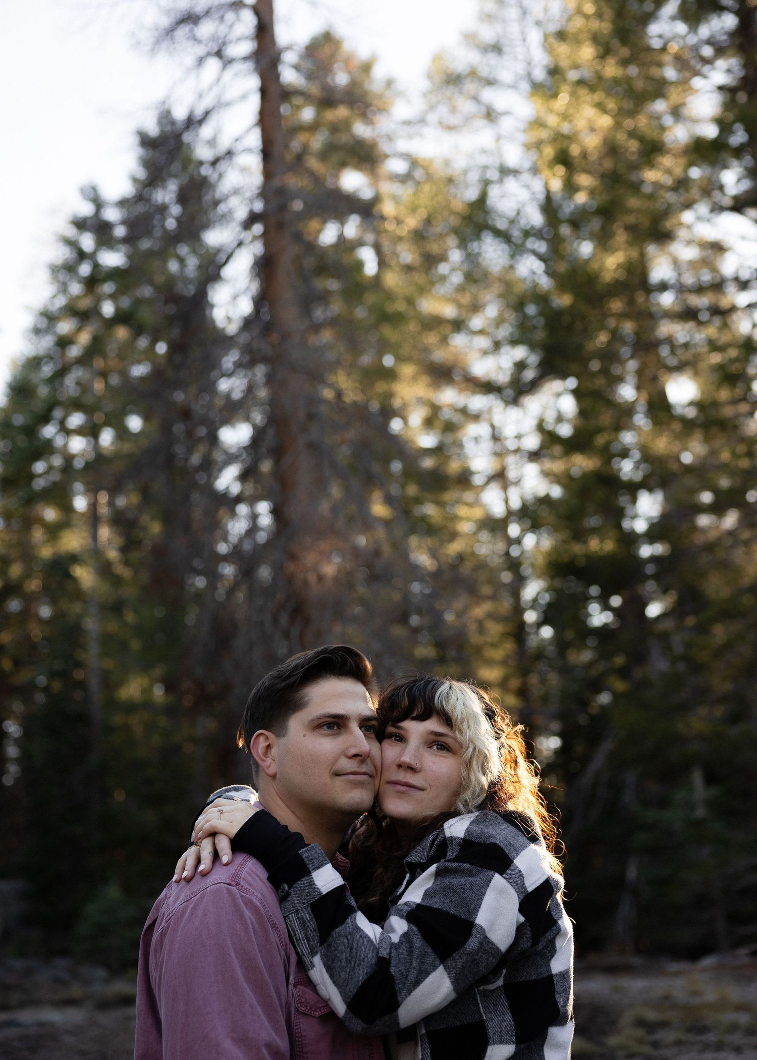 A romantic sunset portrait with evergreen trees creating a natural backdrop.