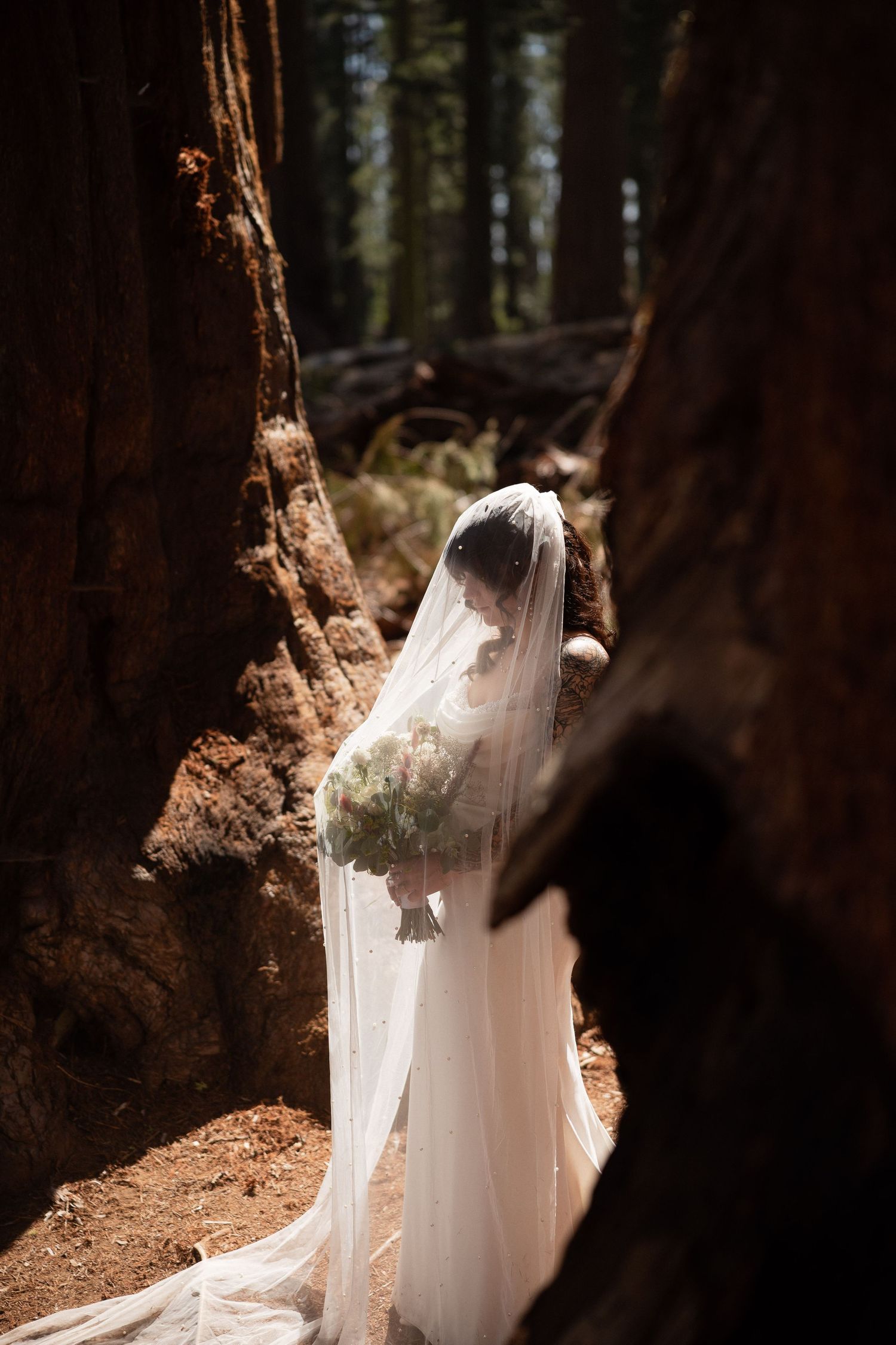 Bride in white gown and veil holding bouquet standing between giant sequoia trees in a forest.