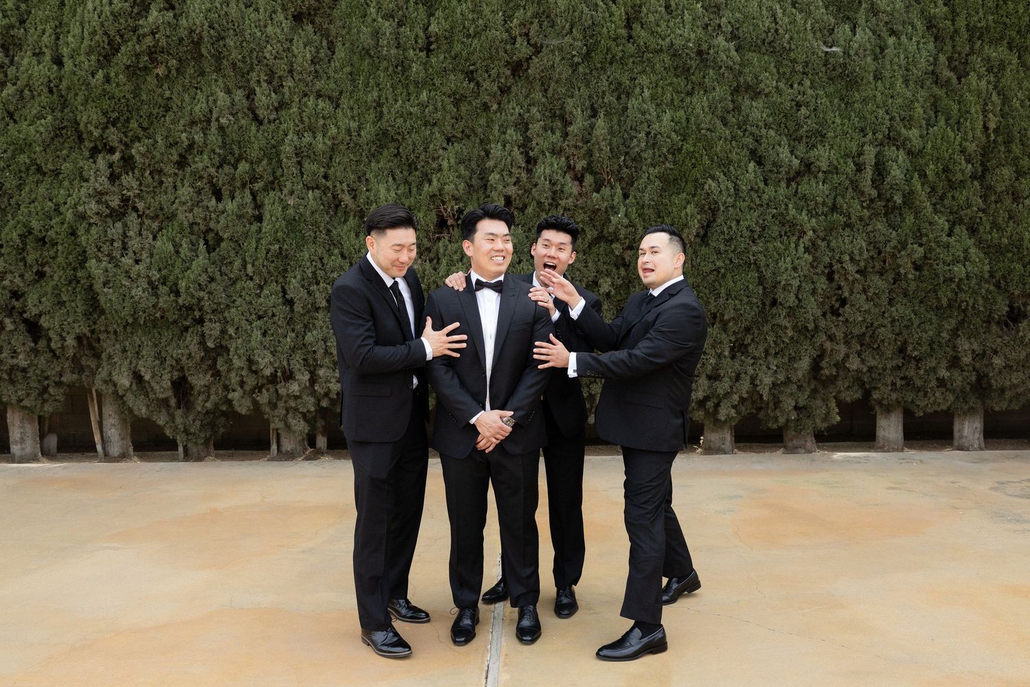 Four groomsmen in black tuxedos laughing together outdoors in front of tall green hedges.