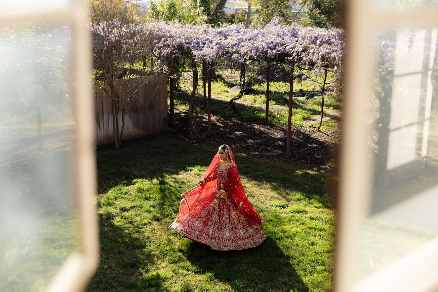 Cherry blossom trees bloom in a sunny garden setting with soft natural lighting.