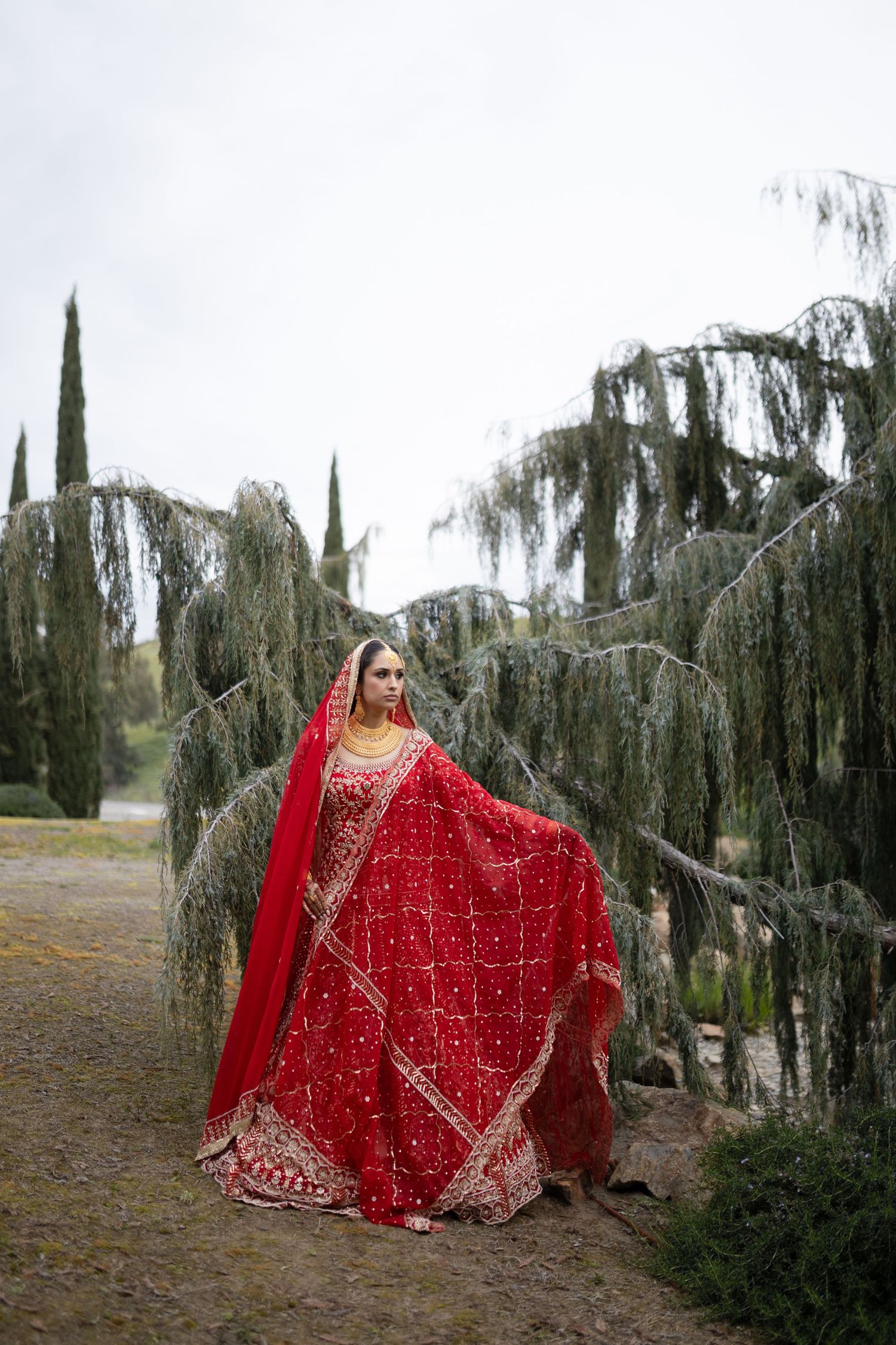 A stunning bridal photoshoot featuring a red traditional Indian lehenga against a backdrop of weeping willow trees.