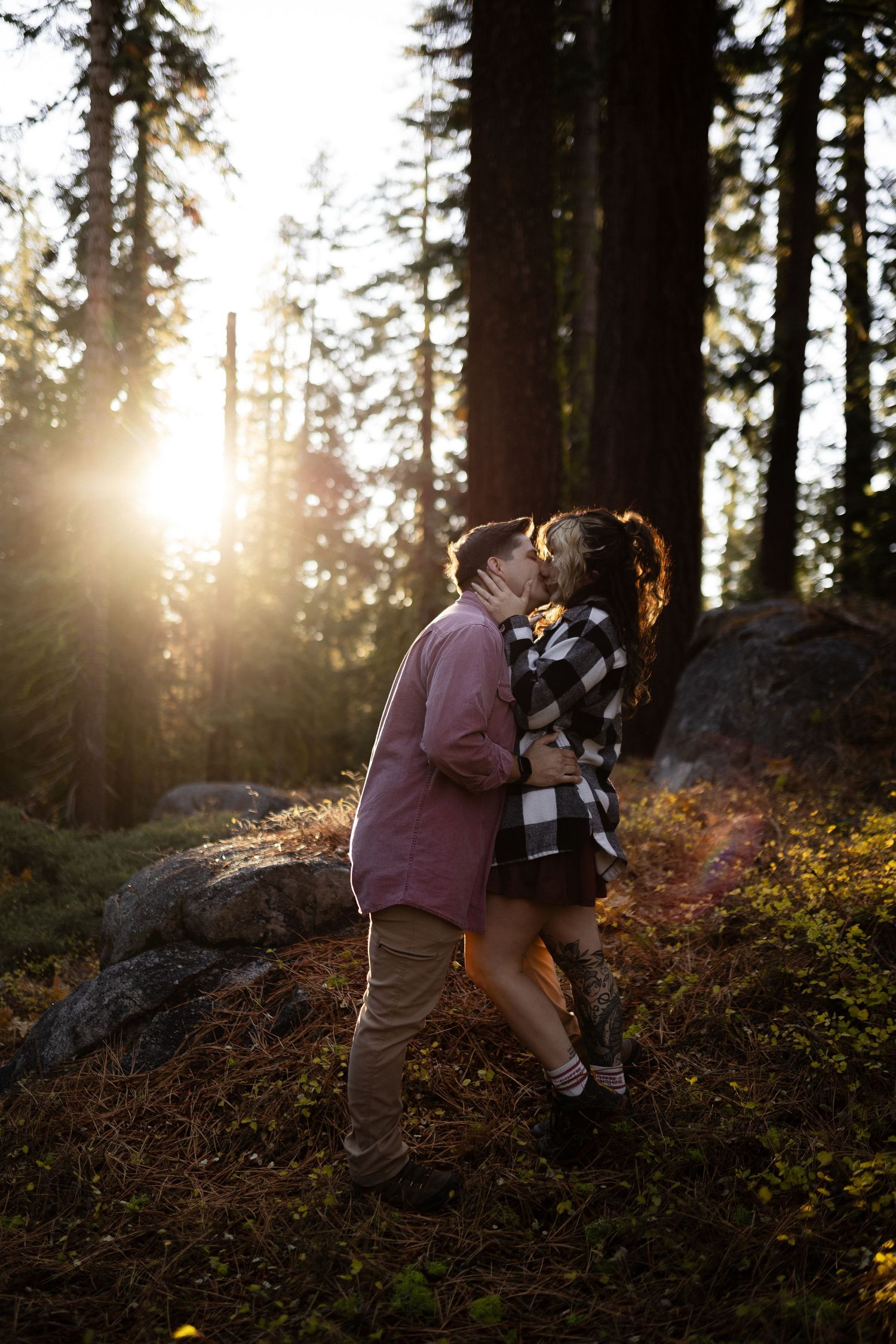 A couple shares a romantic kiss in a sunlit forest during golden hour, surrounded by tall evergreen trees and rocks.