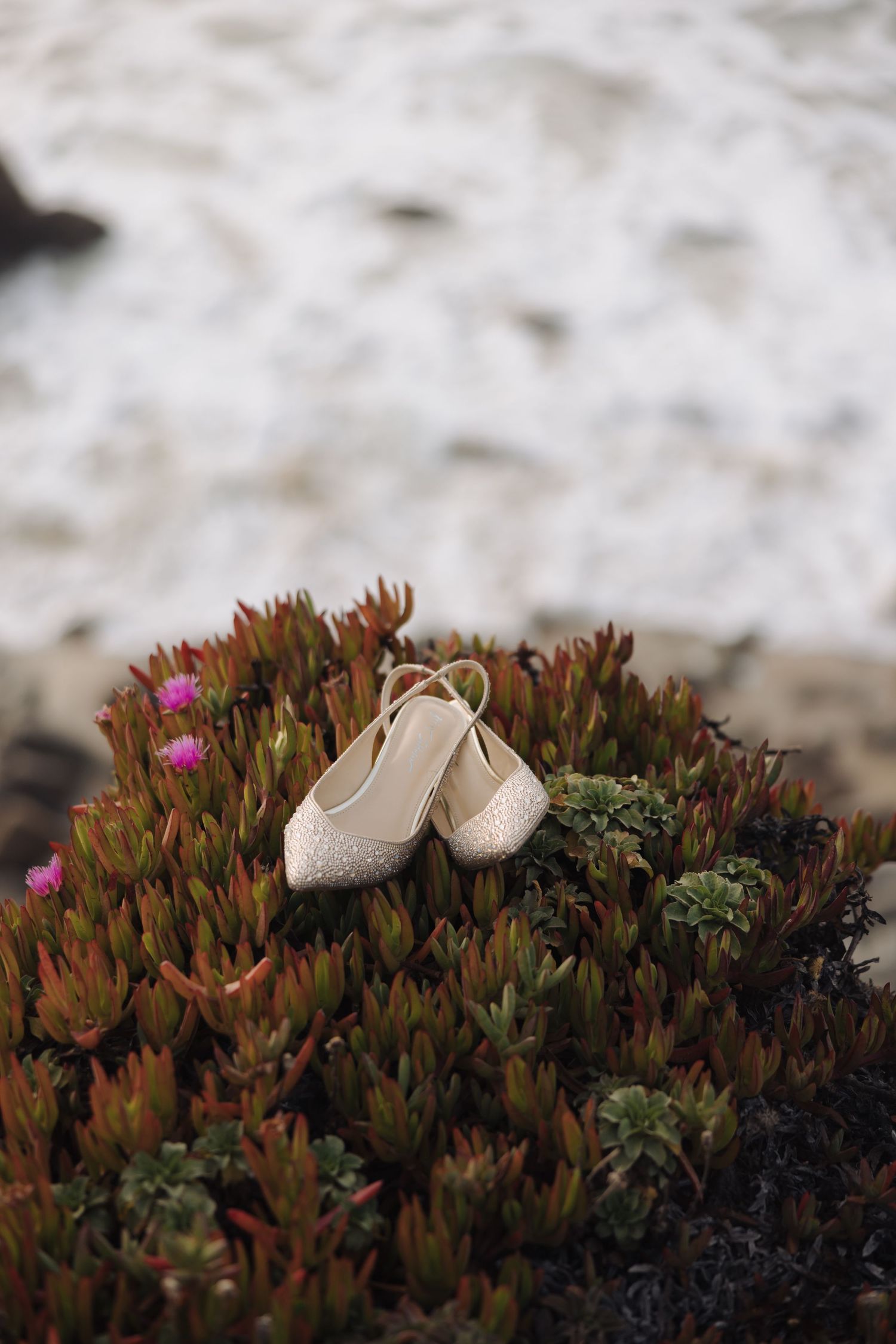 Wedding shoes placed artistically on coastal succulents with ocean waves in background.