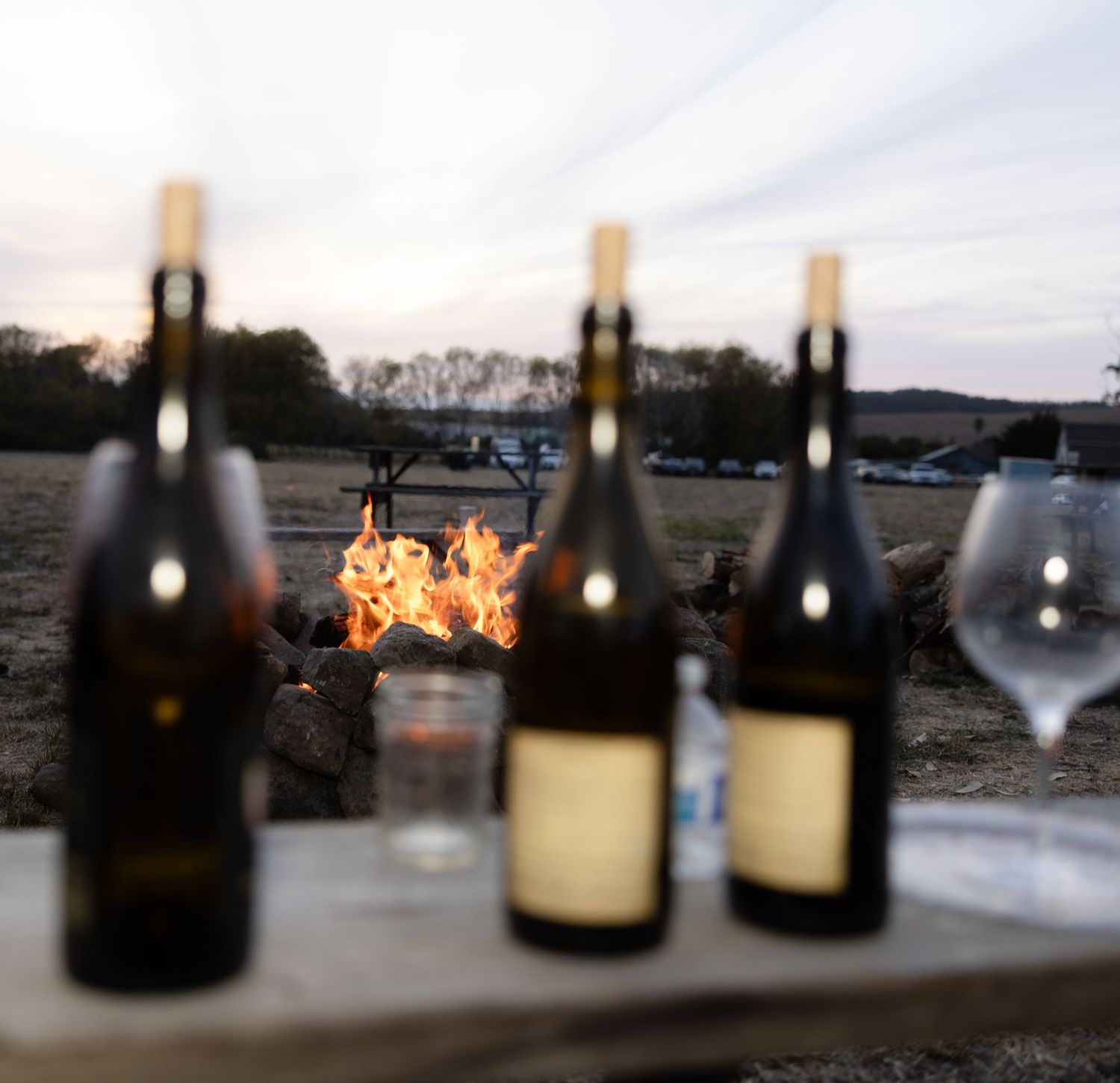 Row of wine bottles silhouetted against sunset with glowing fire in background.