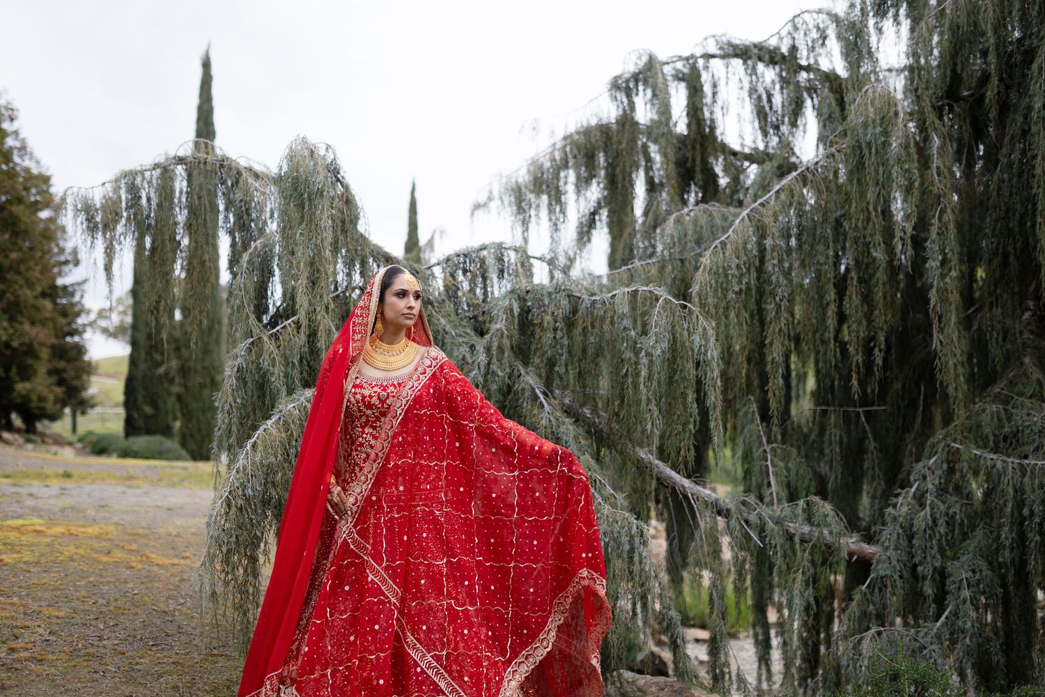 A flowing red dress contrasts beautifully against weeping willow trees in a dreamy outdoor setting.