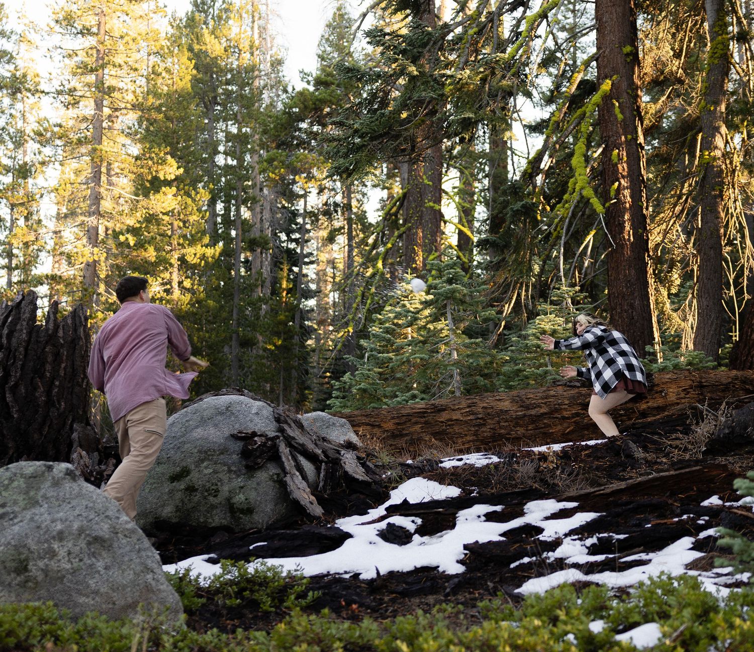 Forest path with snow patches and rocky outcroppings illuminated by warm evening light.