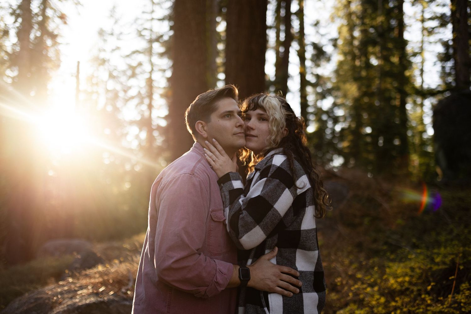 A couple shares a romantic kiss in a forest bathed in warm sunset light.