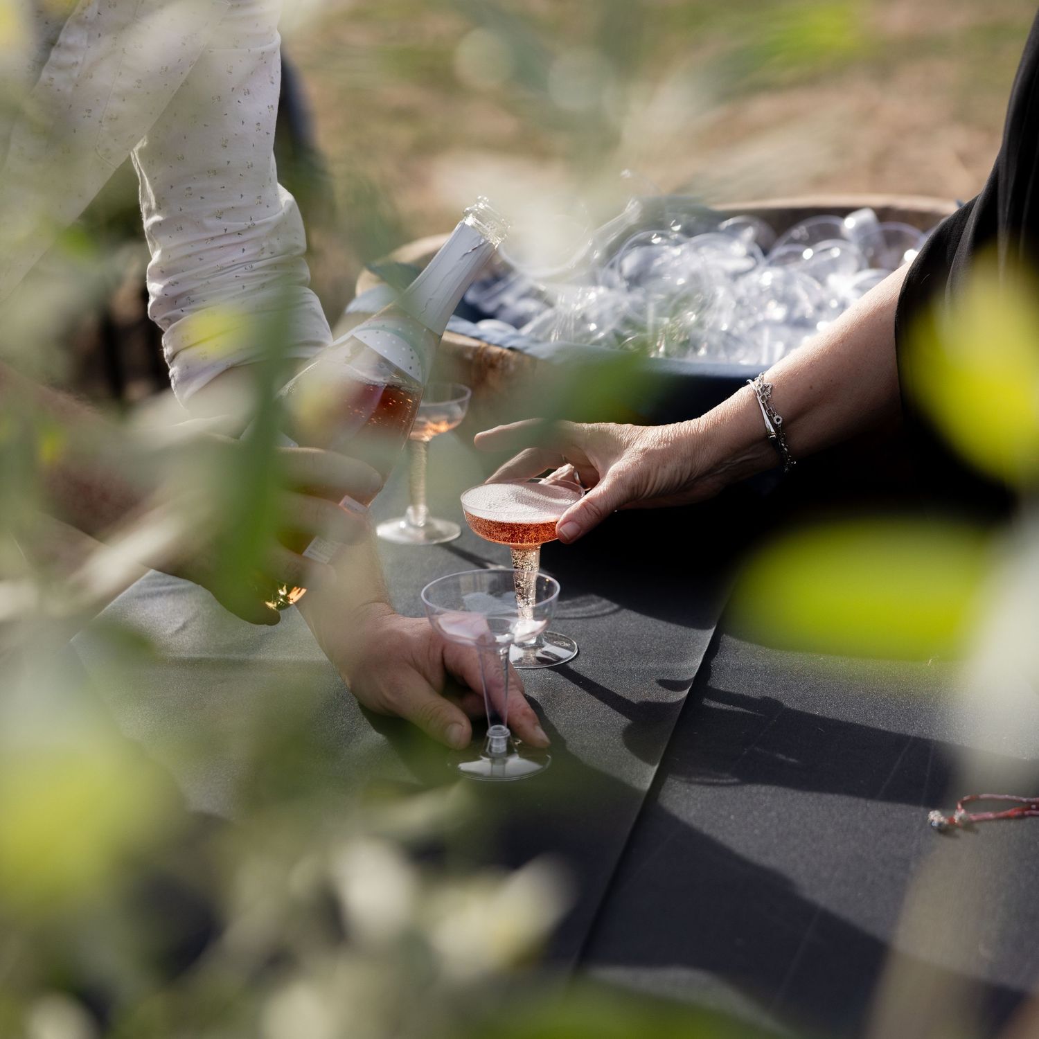 Hands holding champagne glasses at an outdoor celebration event.
