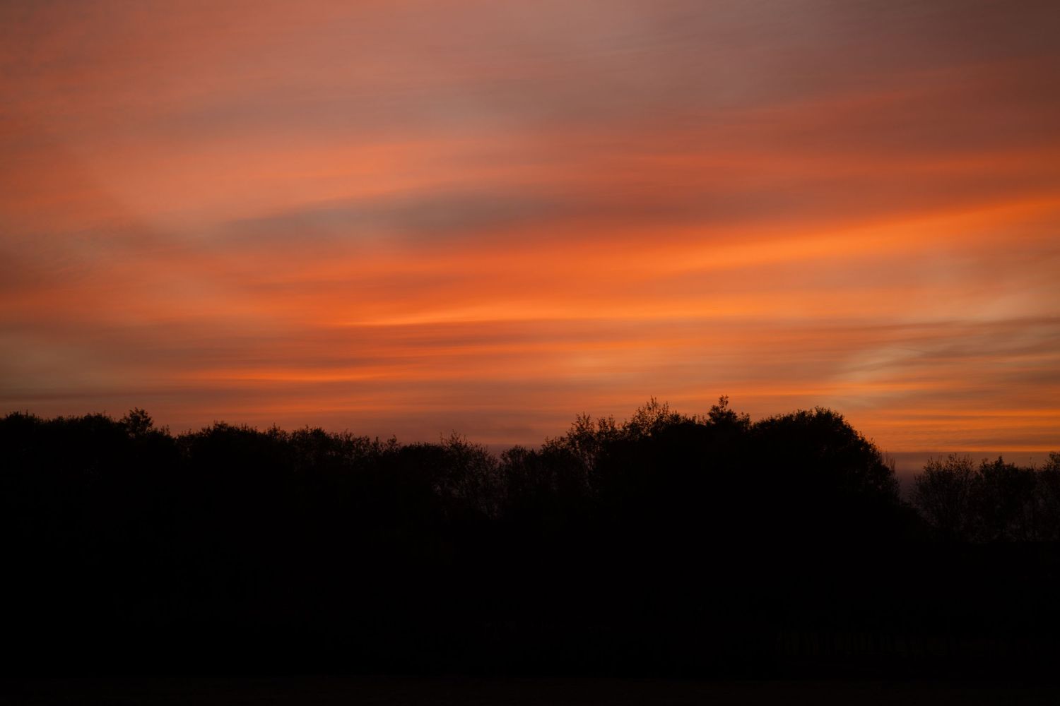 Dramatic orange and purple sunset sky with silhouetted treeline against the horizon.