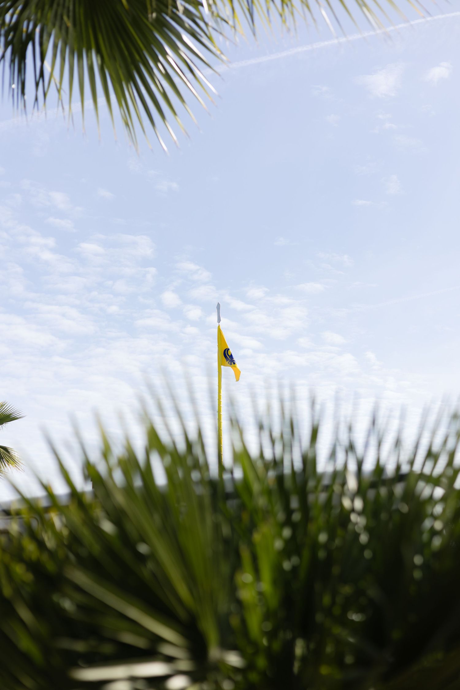 Palm fronds frame a bright blue sky with a yellow flag waving in the breeze.