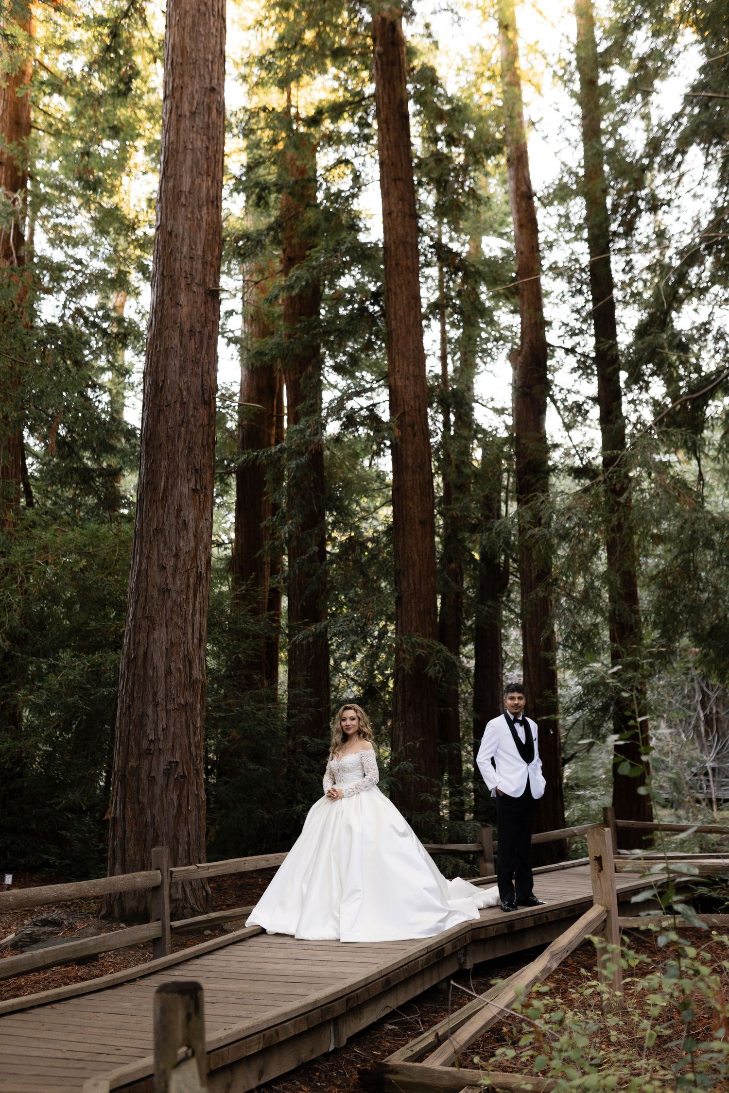 A wedding photo featuring a couple on a wooden walkway amidst majestic redwood trees.