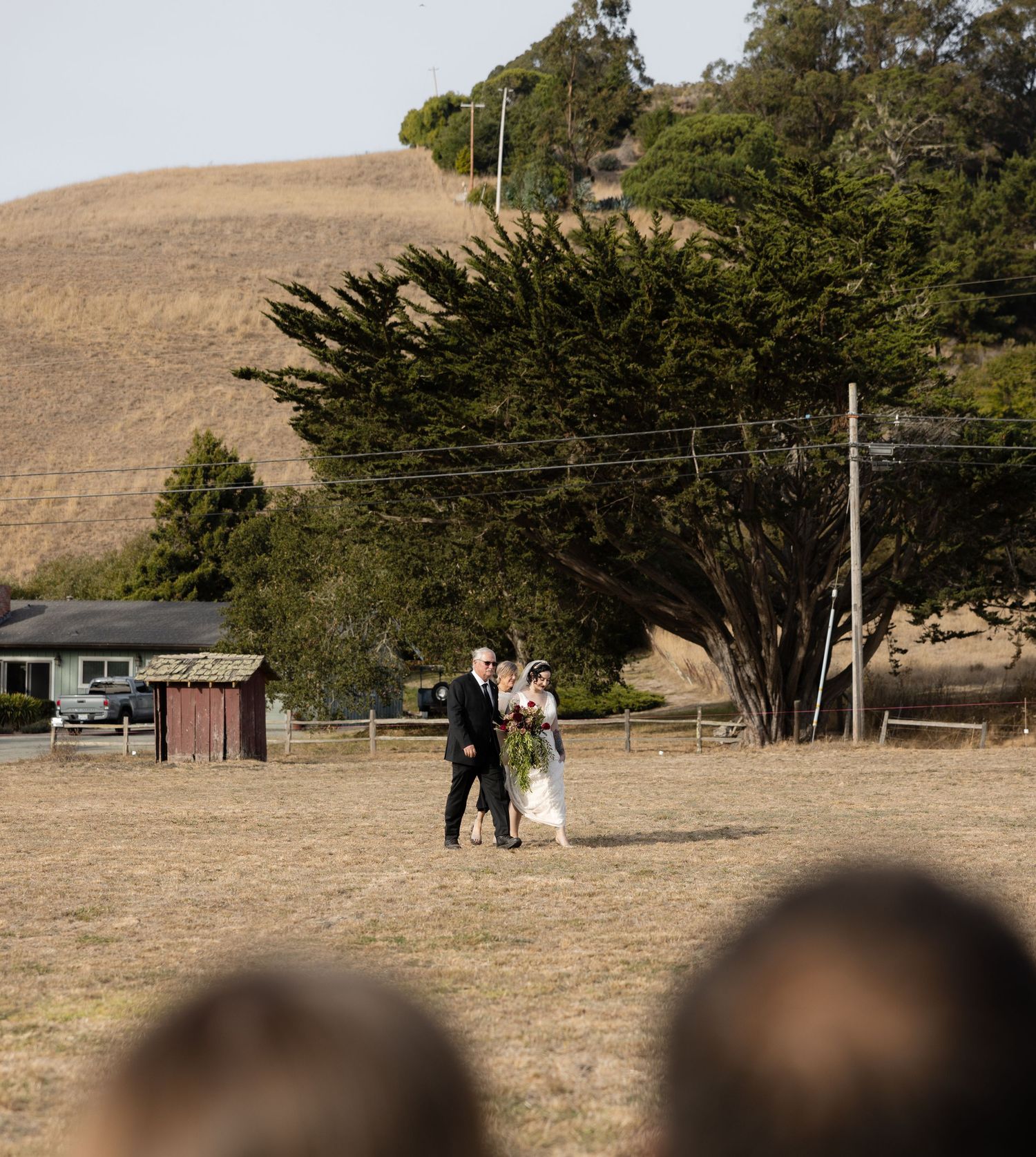 Scenic outdoor wedding venue with rolling hills and cypress trees in the background.