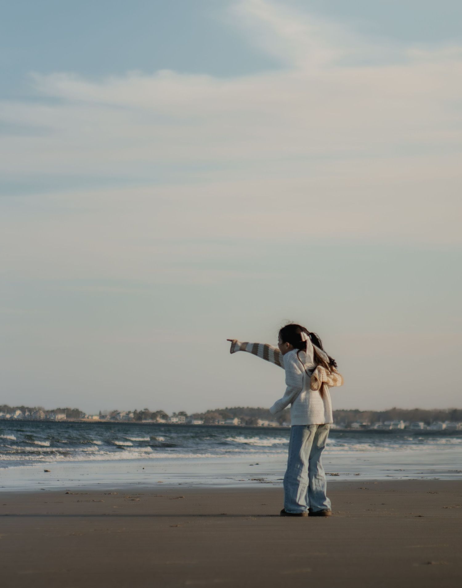 Two people stand on a sandy beach, one pointing toward the ocean horizon on a partly cloudy day.