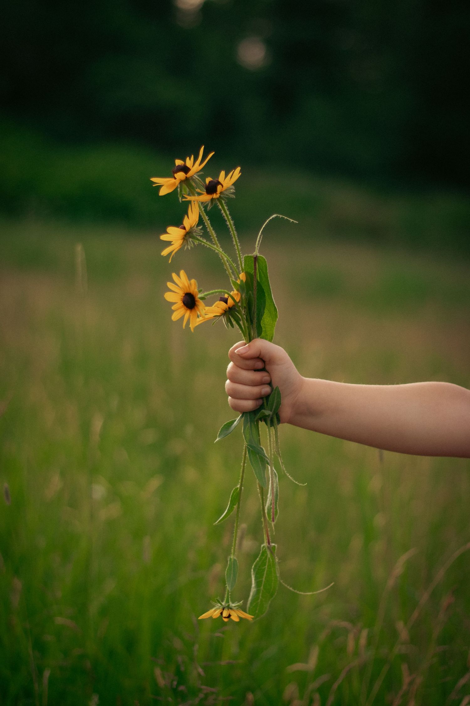 Hand holding yellow wildflowers against blurred natural background.