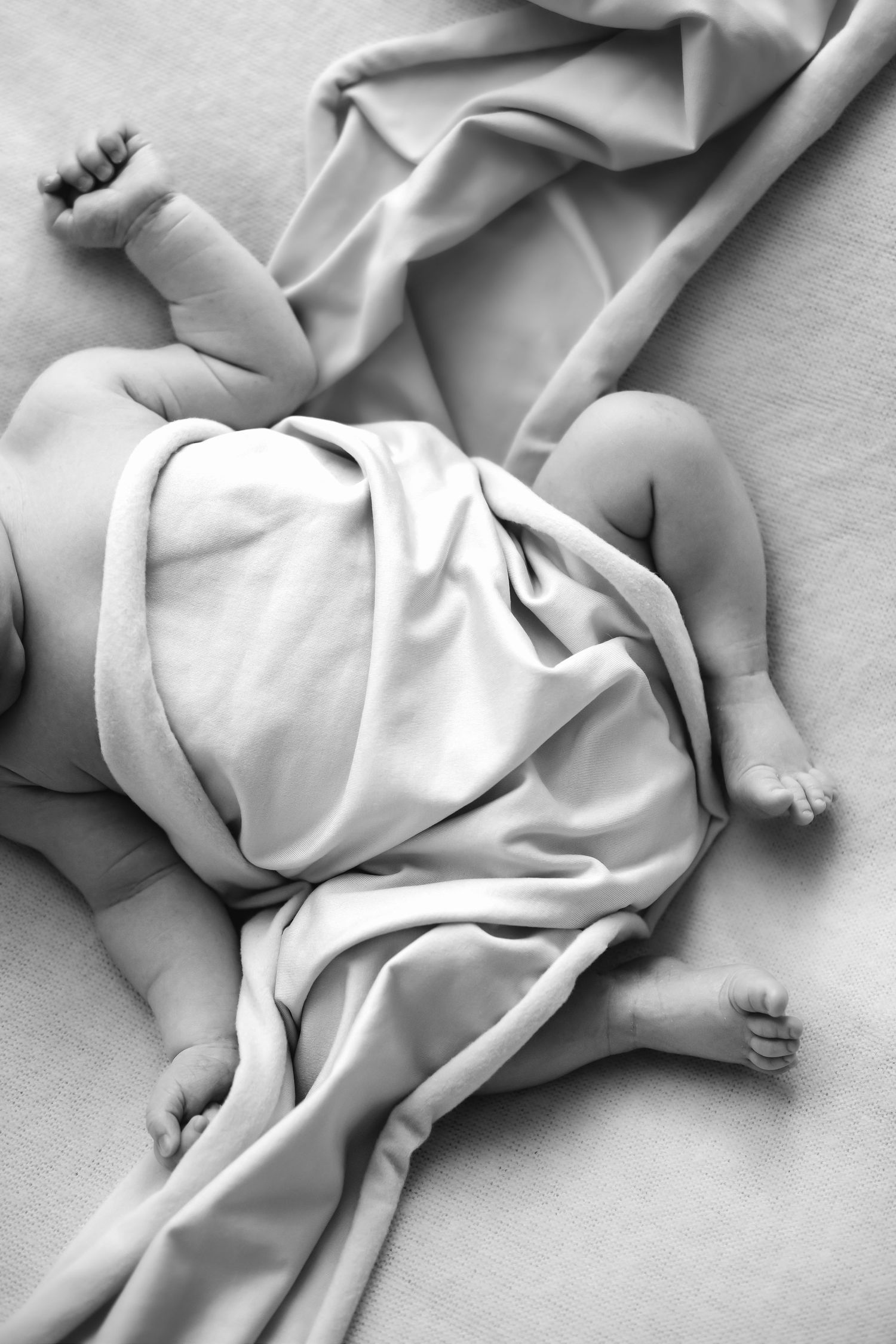 Newborn session