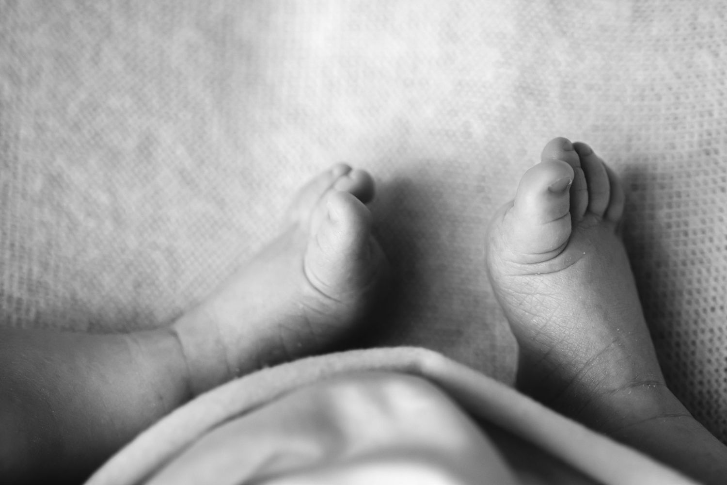 Newborn session