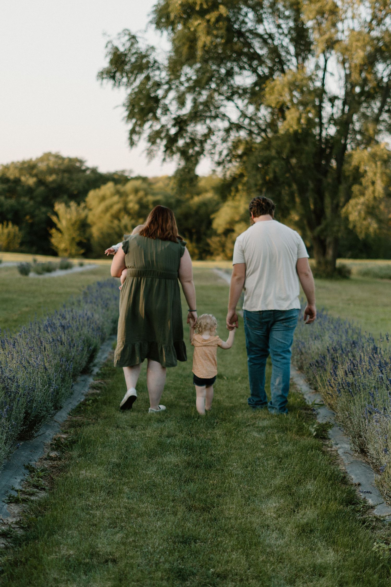 A family of three walks hand-in-hand through a lush lavender field path at sunset.