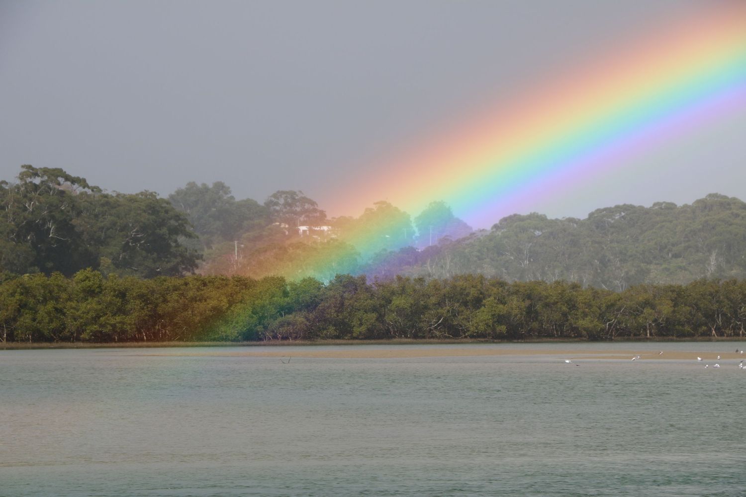 Vivid rainbow arches over water and treeline during stormy weather. Coffs Harbour Rainbow.