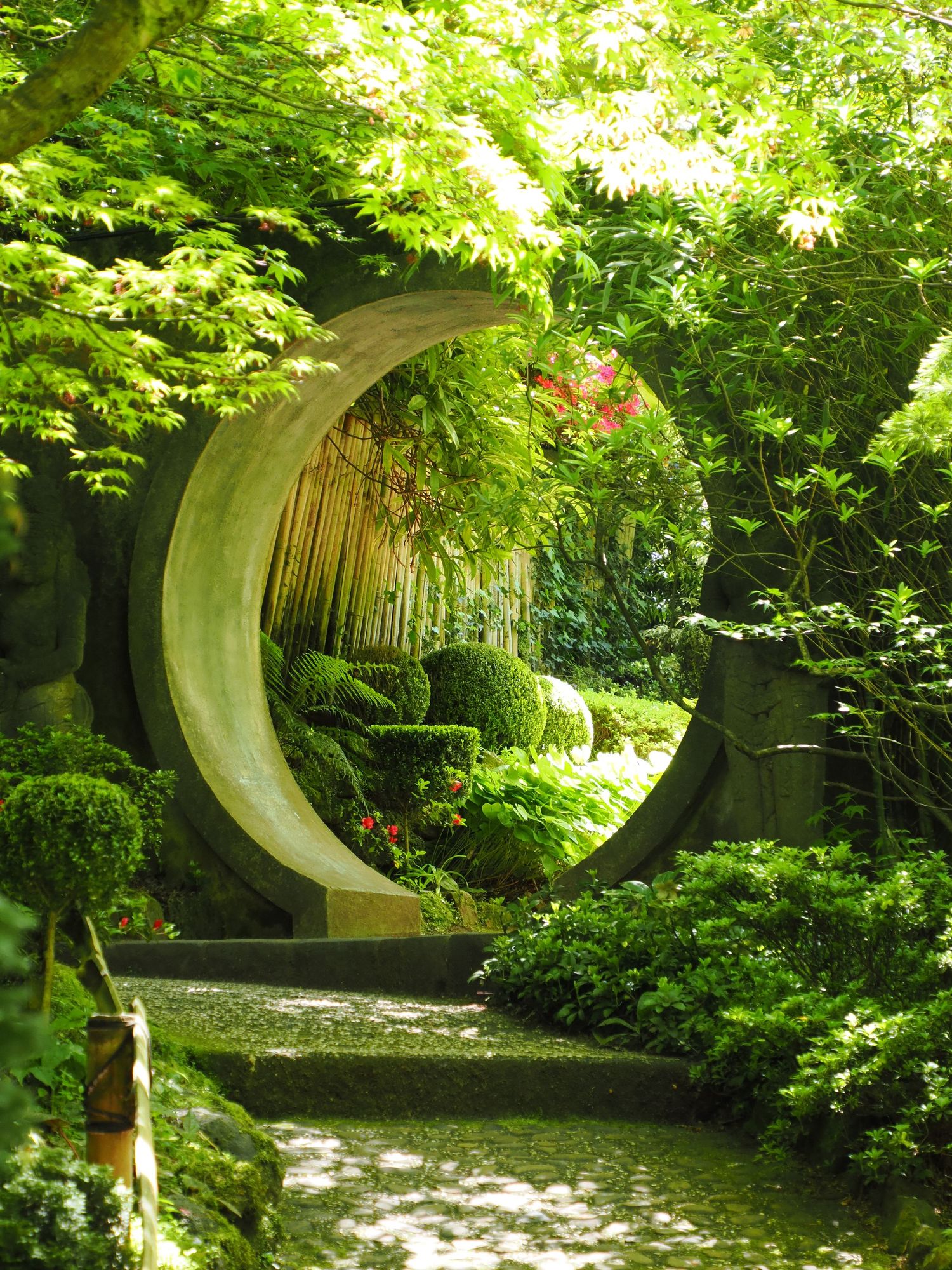 Circular moon gate in a lush Japanese garden with green maples and stone pathway. Macaden Ranges Gardes.