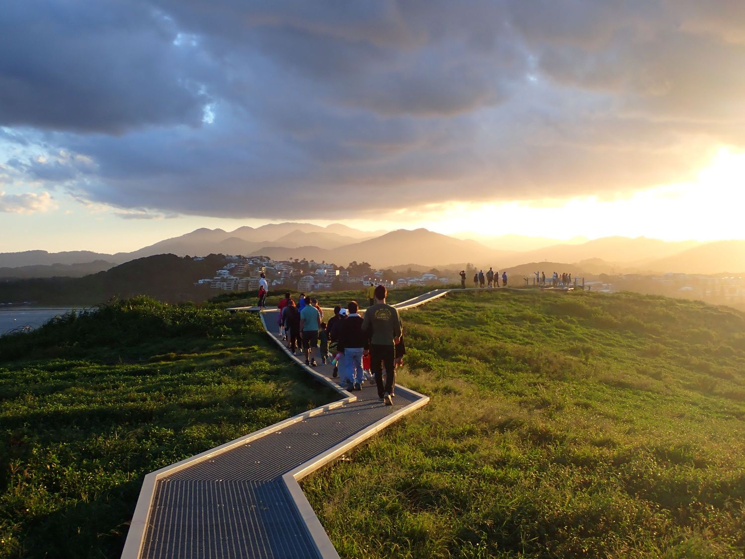 Scenic mountain boardwalk path at sunset with golden light illuminating the landscape. Coffs Harbour  Mutton Bird Island.